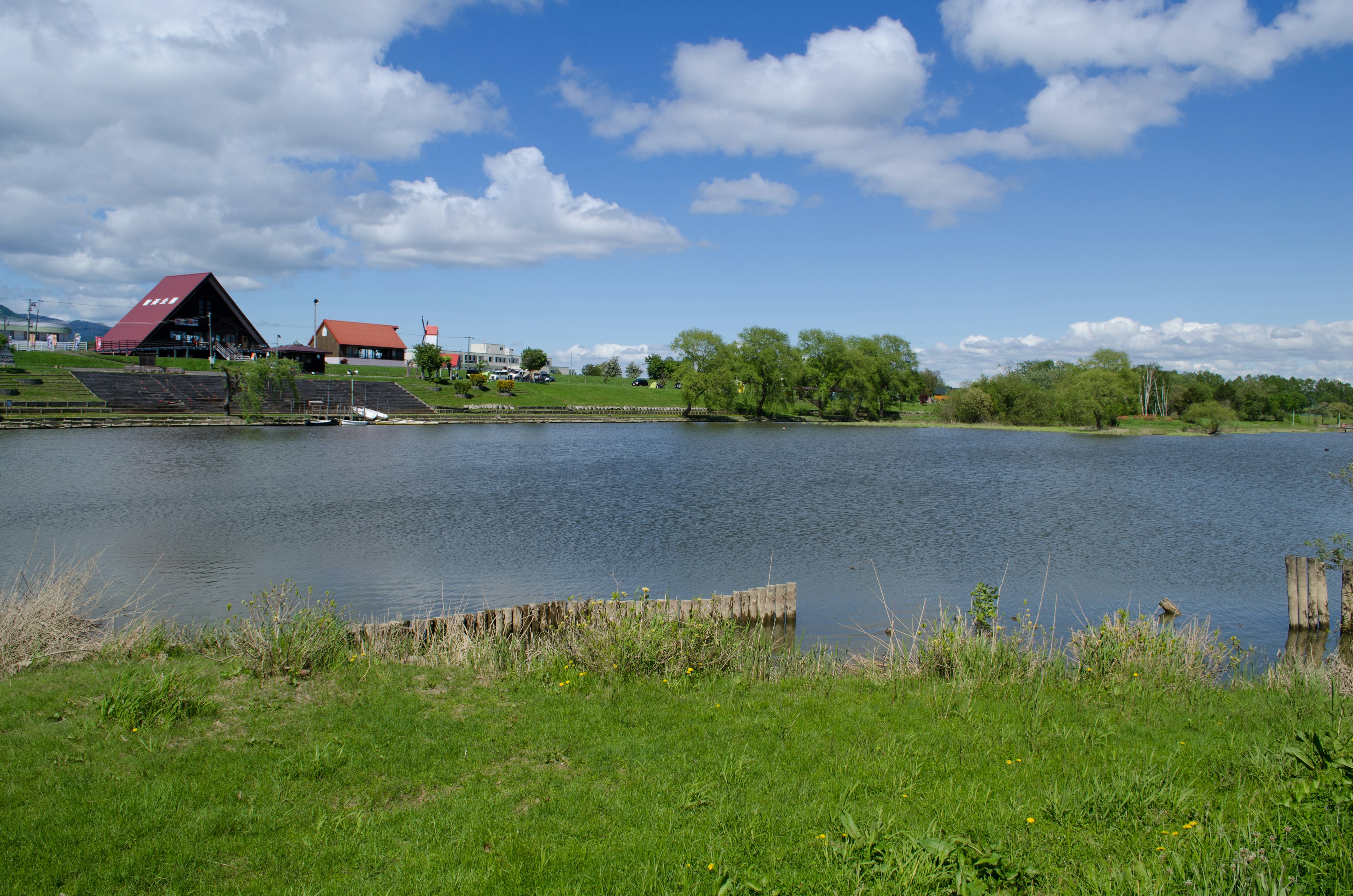 Houses with red roofs near a lake surrounded by green grass and trees