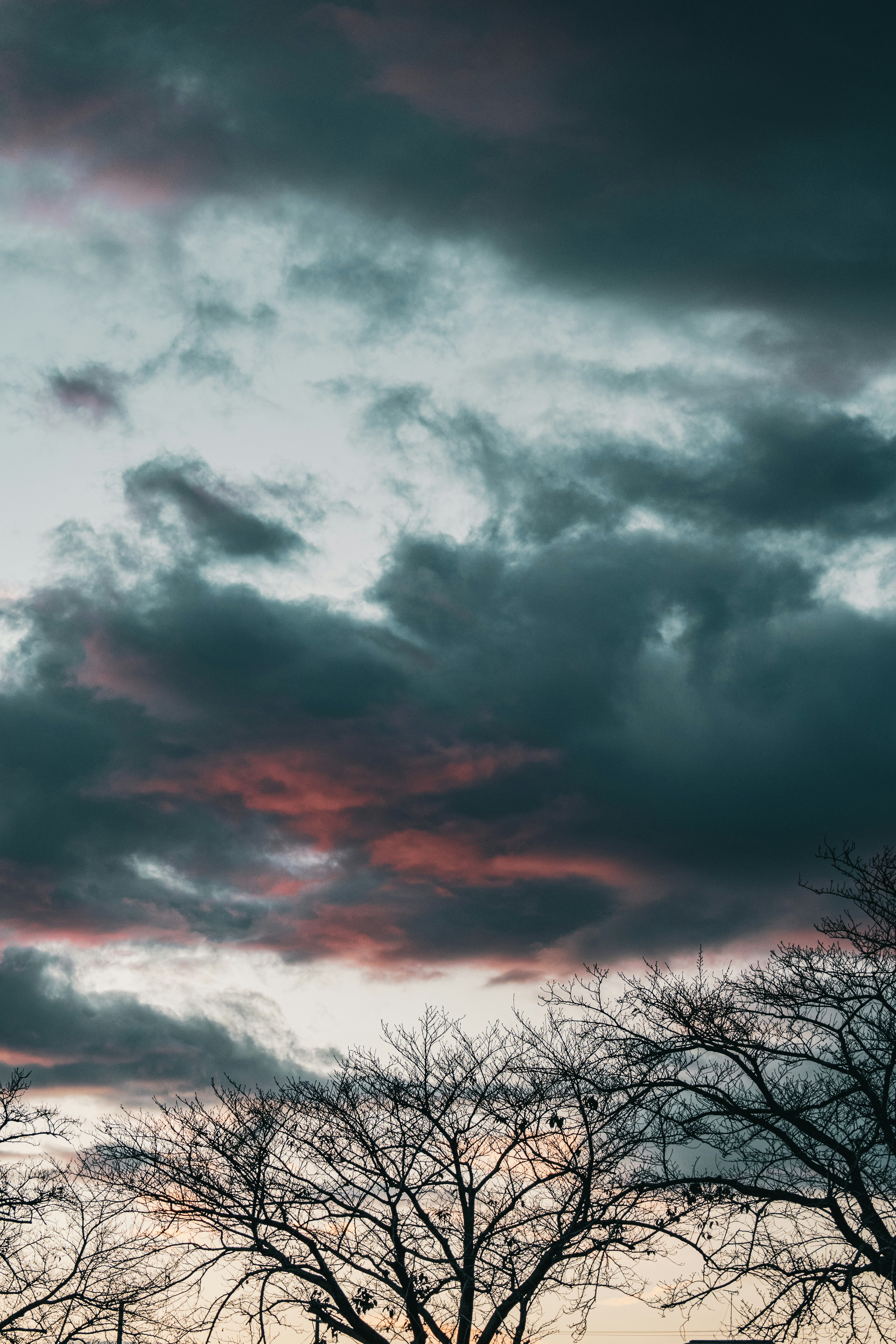 Dramatischer Himmel in der Dämmerung mit grauen Wolken und roten Akzenten, die die Silhouetten der Bäume hervorheben