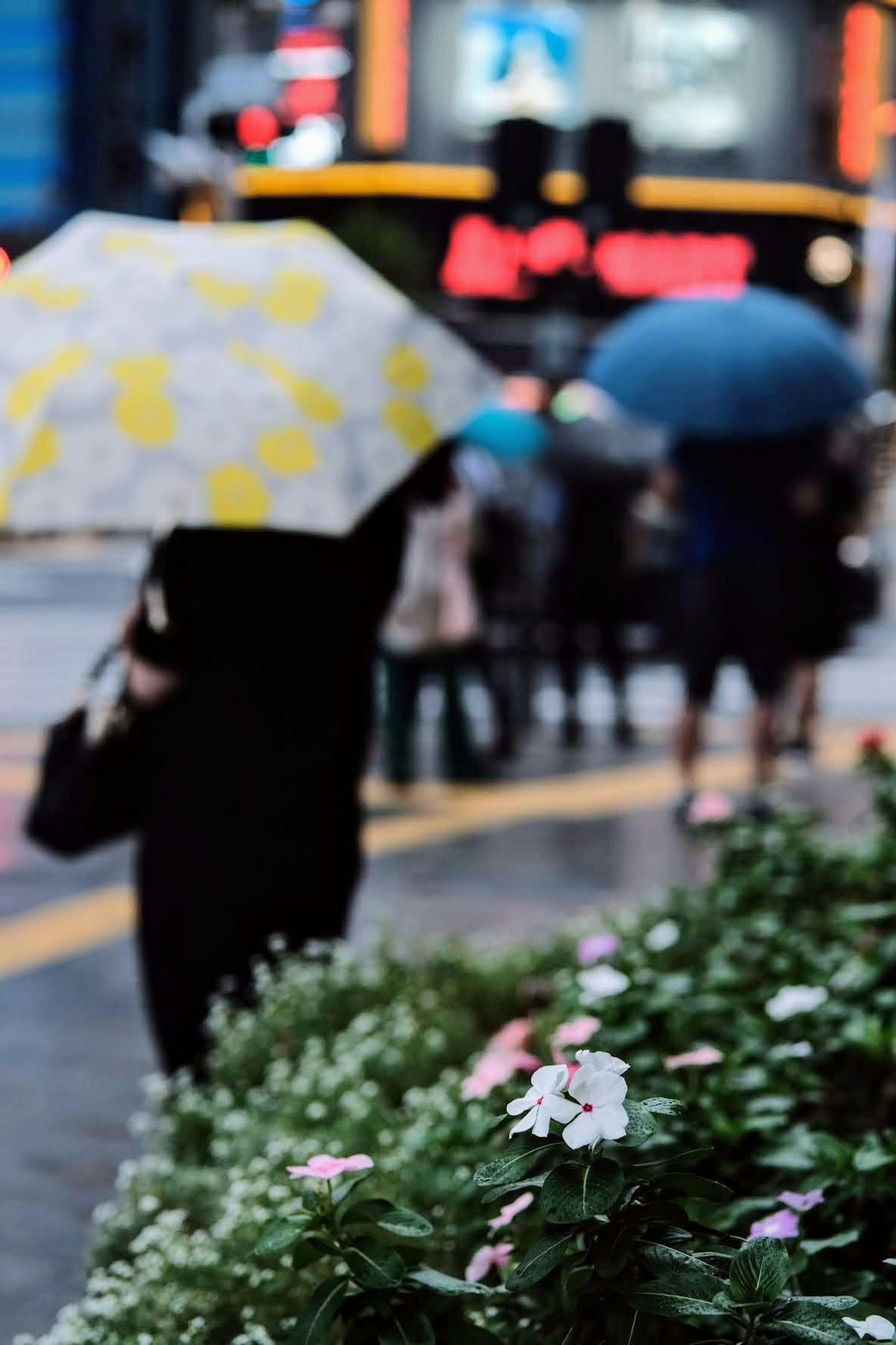 Person holding an umbrella near blooming flowers in a city street