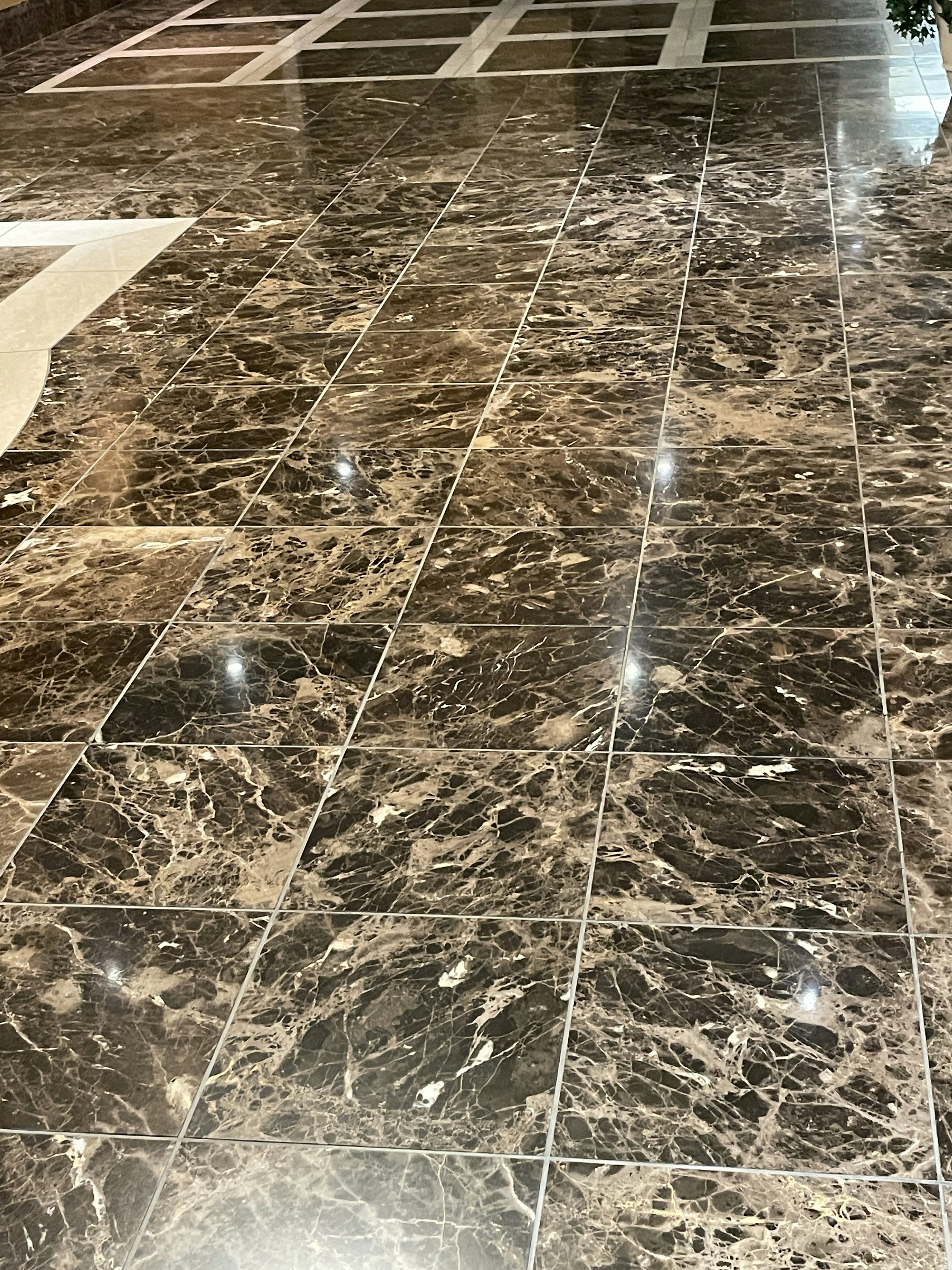 Polished black and white marble floor reflecting light