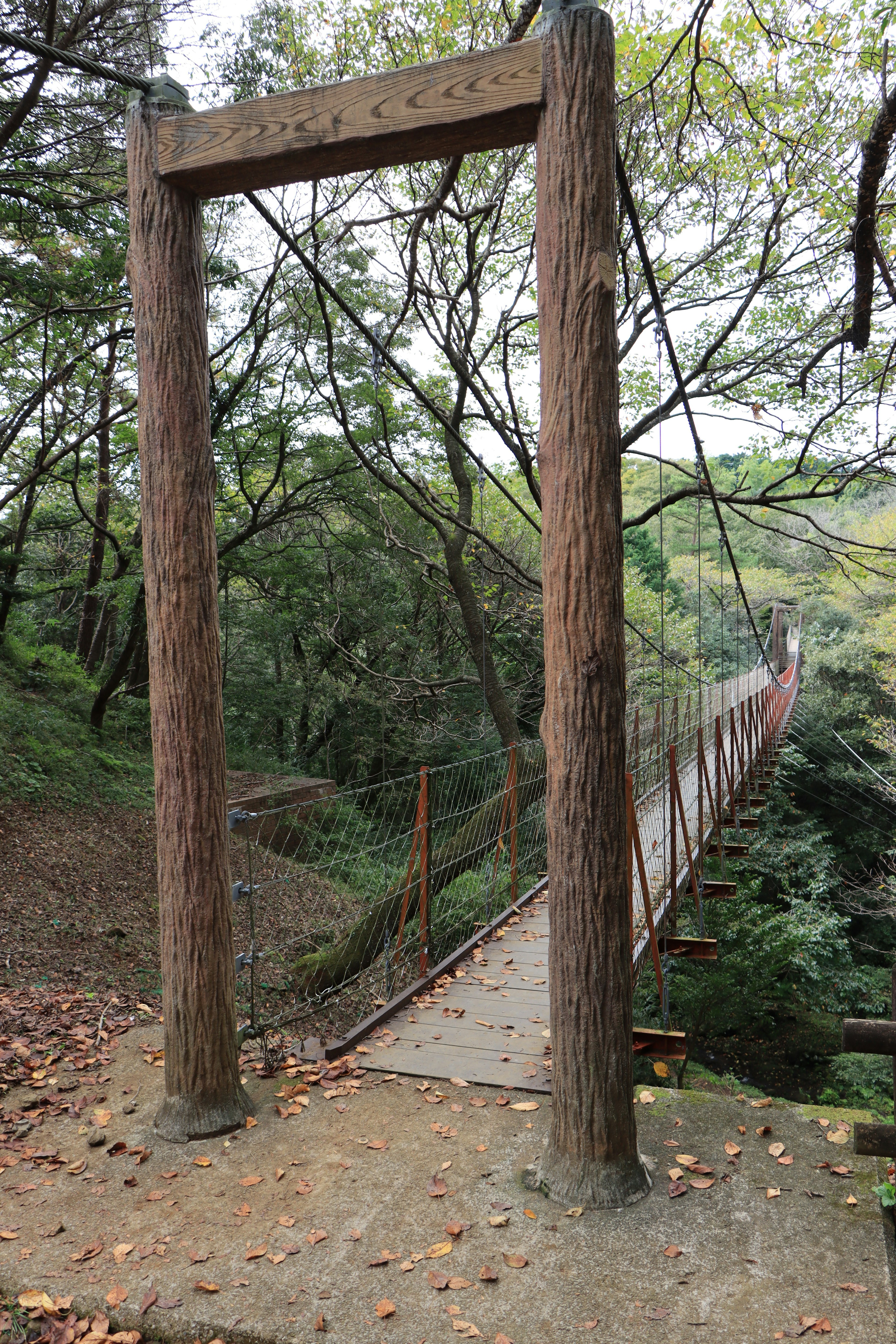 ทางเข้าหมายถึงสะพานแขวนไม้ที่ถูกล้อมรอบด้วยต้นไม้สีเขียว