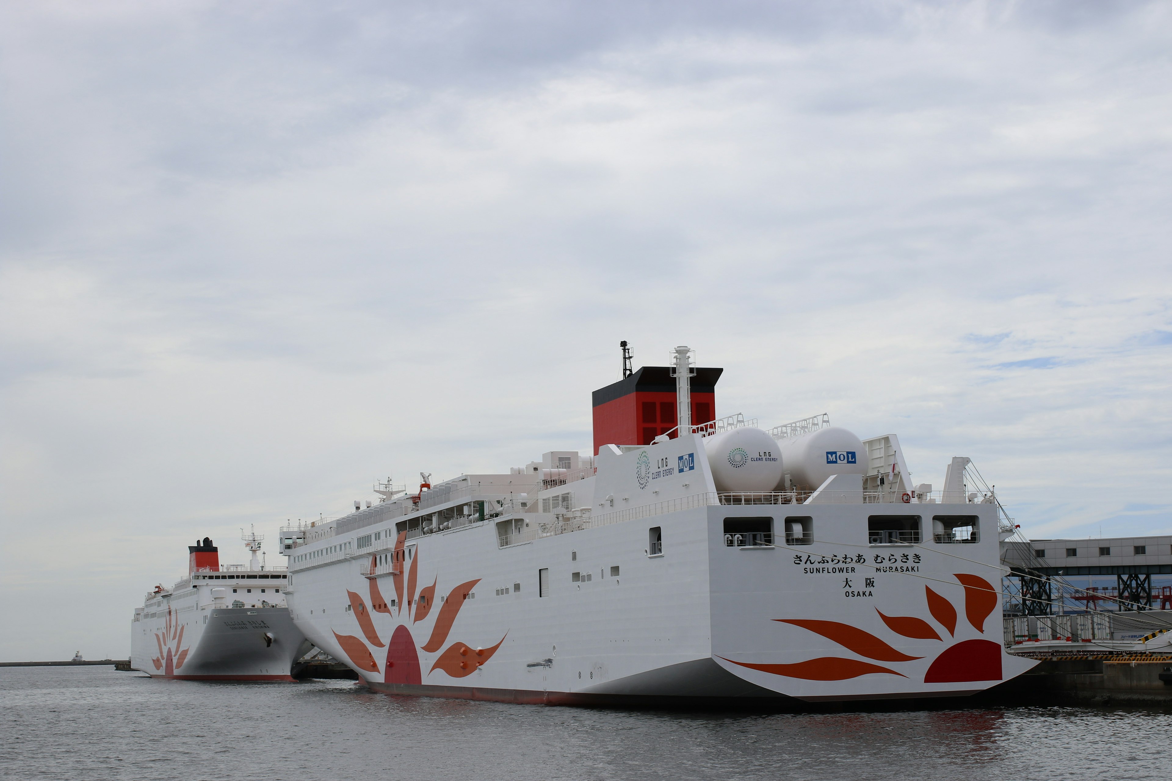 Dos ferris atracados en el puerto con casco blanco y diseño de sol rojo