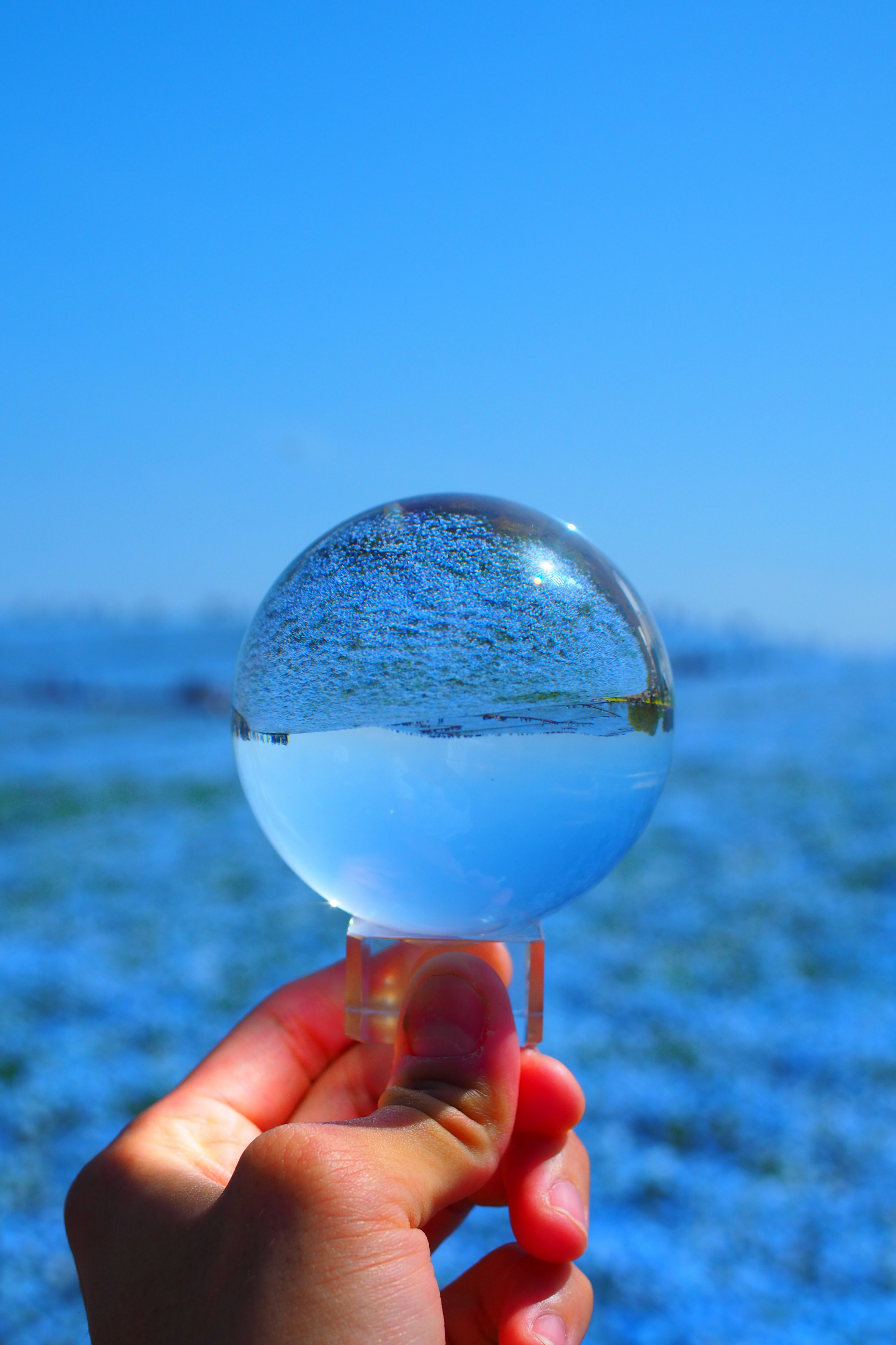 Hand holding a transparent lens reflecting a blue sky and flower field