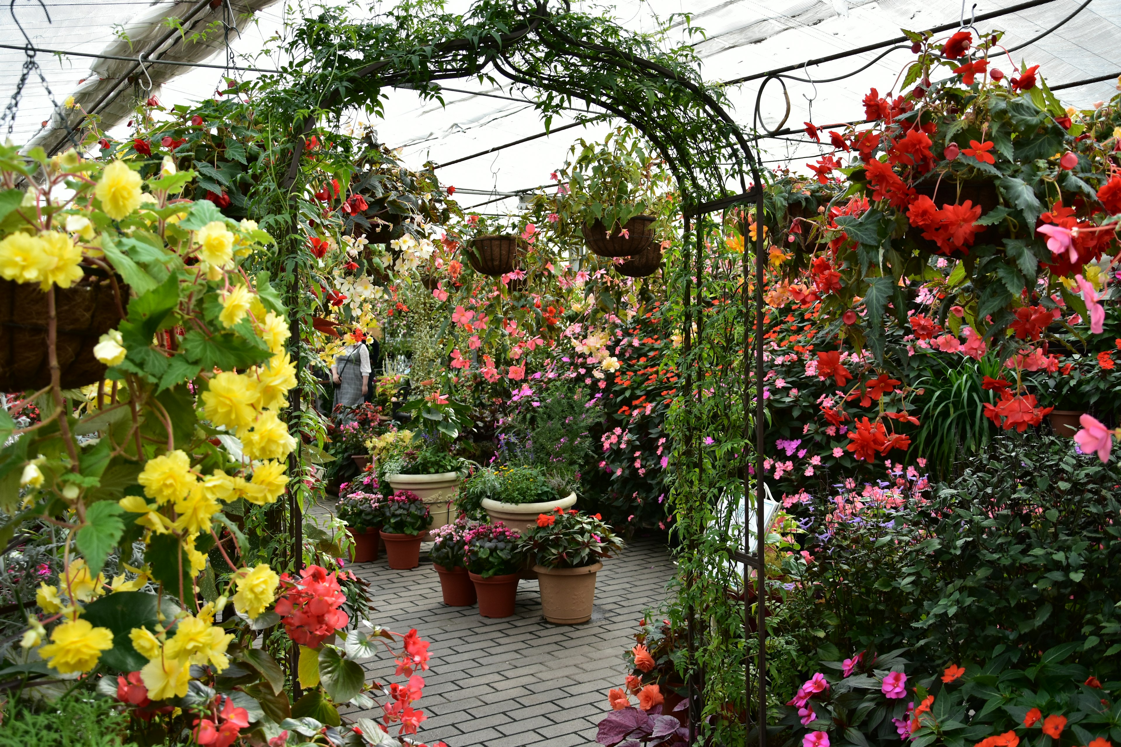 Intérieur d'une serre orné de fleurs colorées et d'une arche