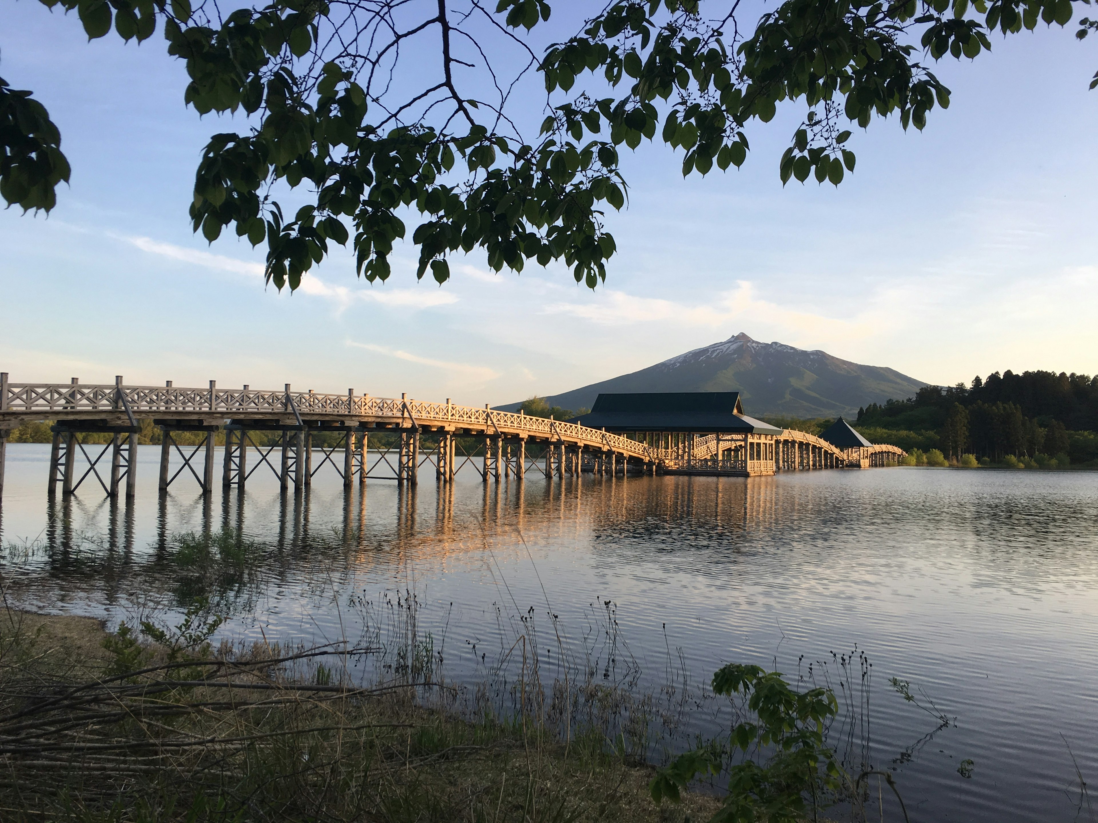 湖に架かる木製の橋とその先に見える山の風景