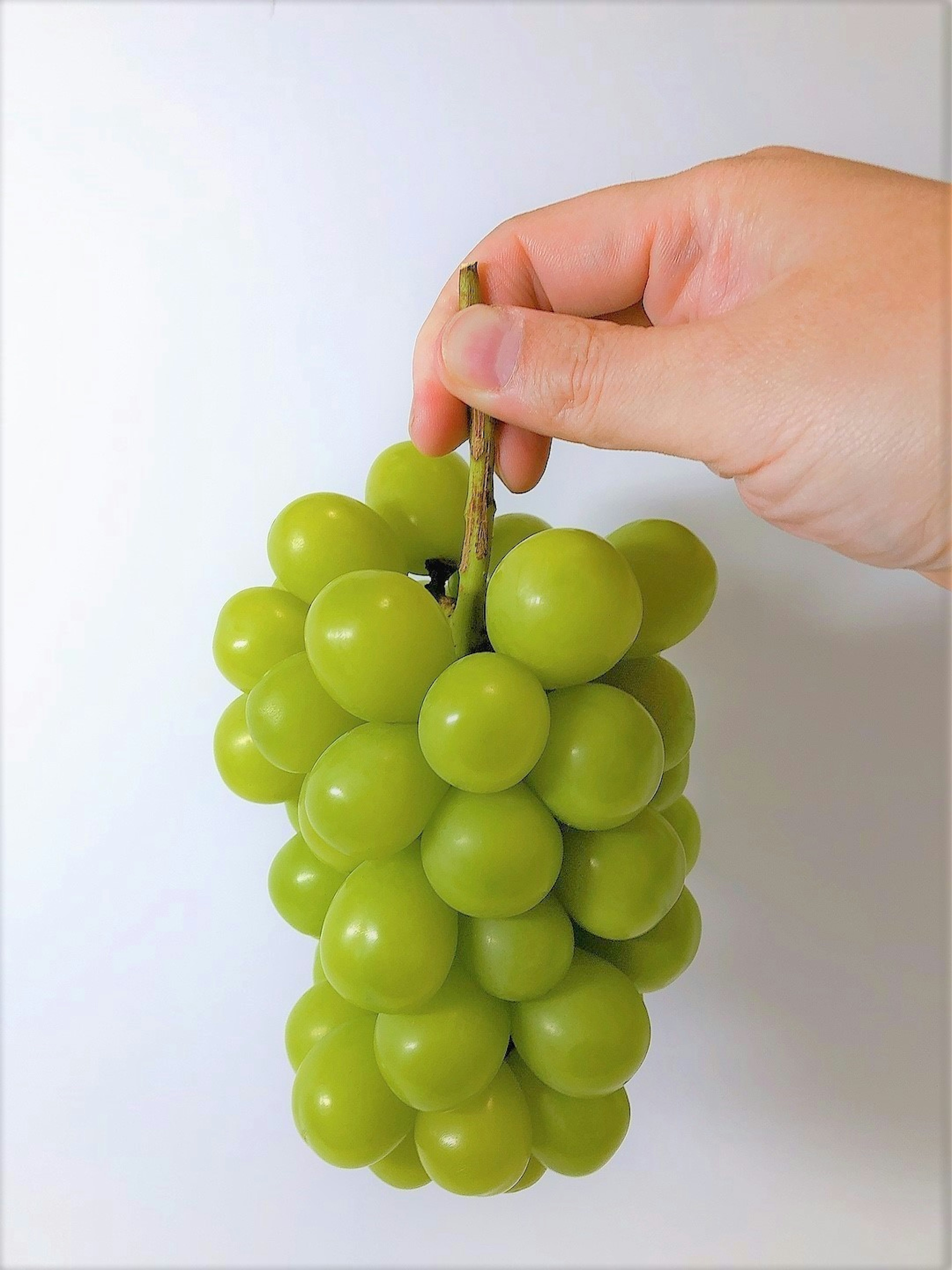 A hand holding a bunch of fresh green grapes