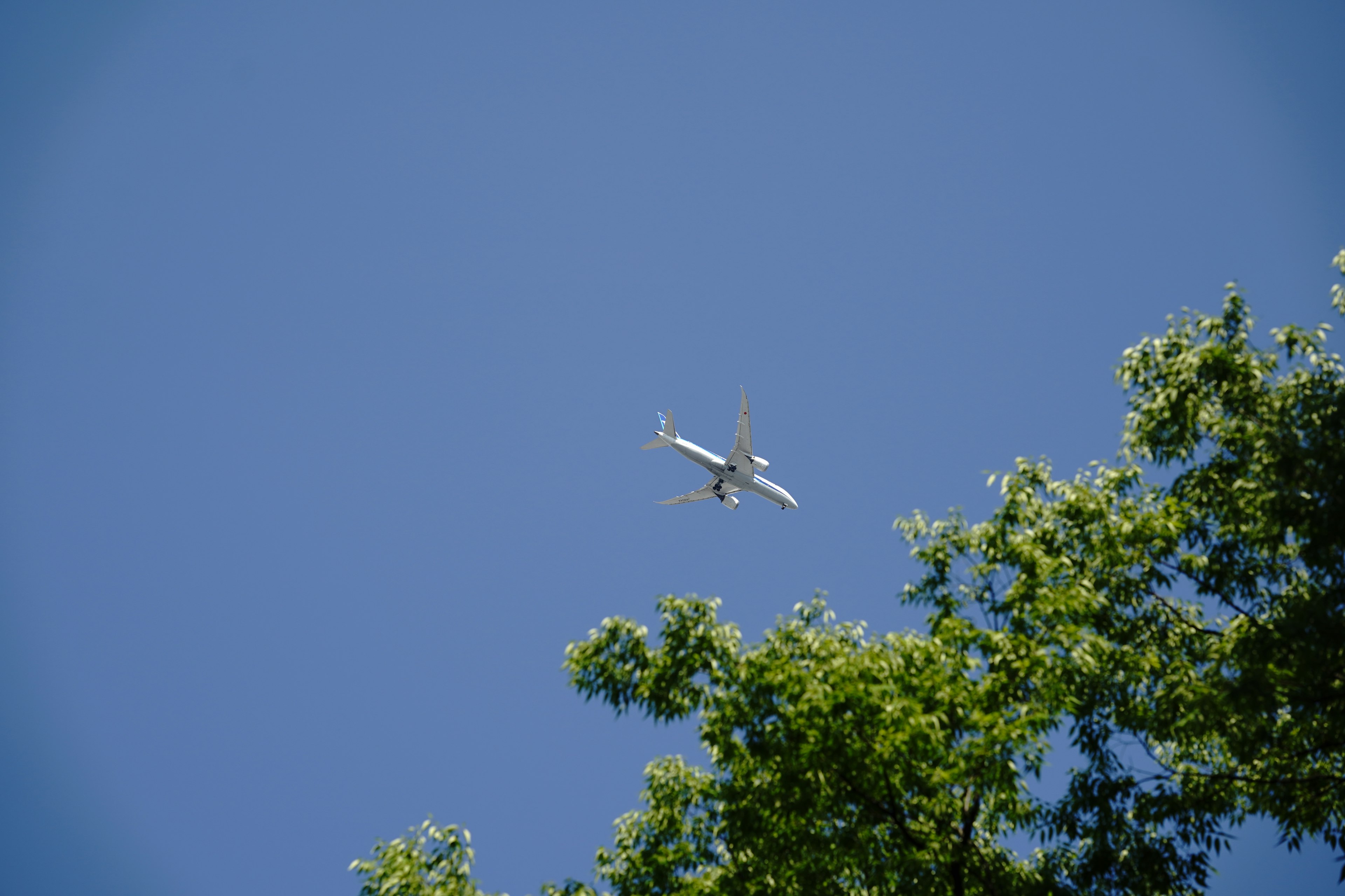 Aereo che vola in un cielo blu sopra alberi verdi