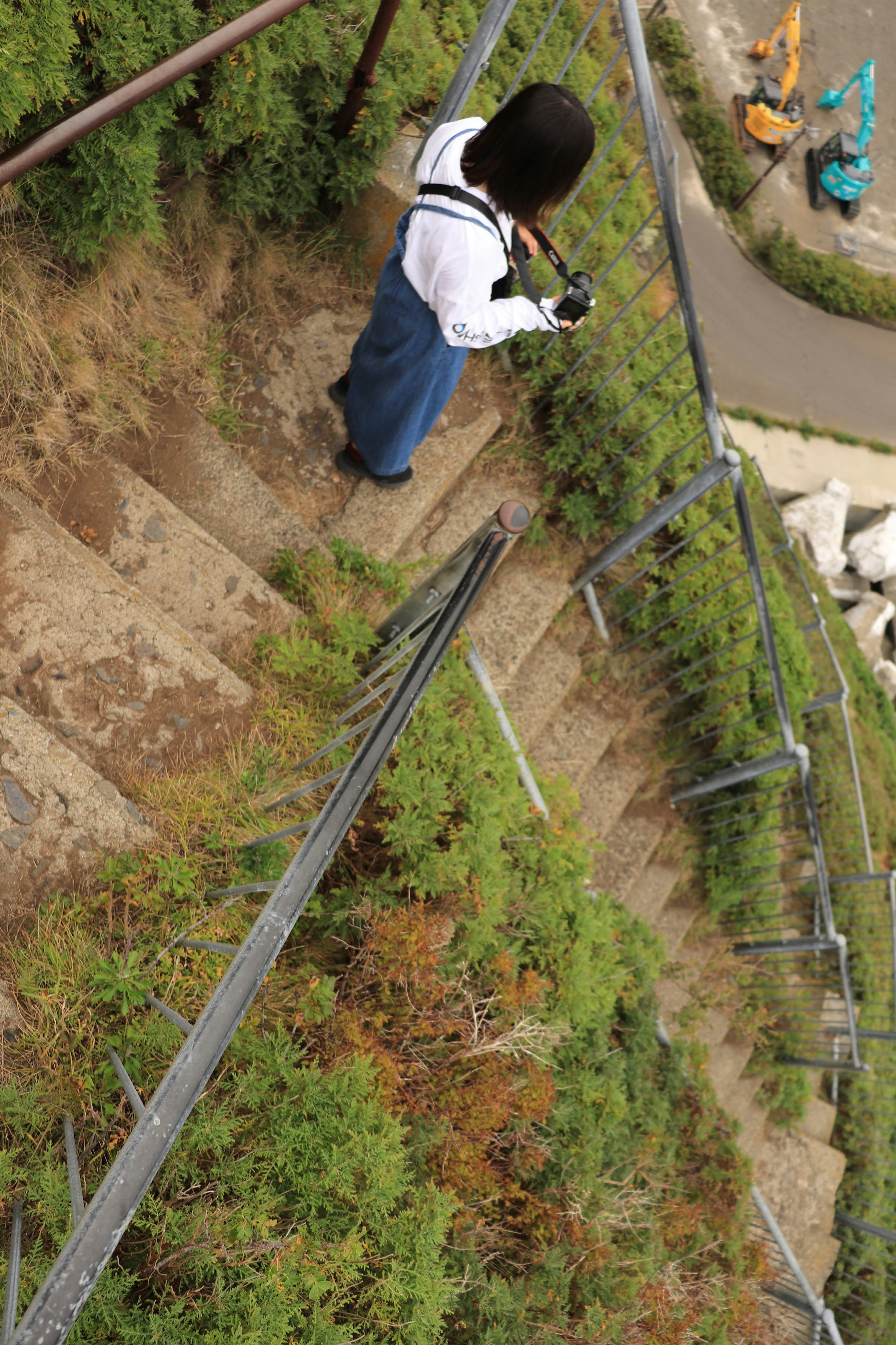 Person standing on a staircase surrounded by greenery