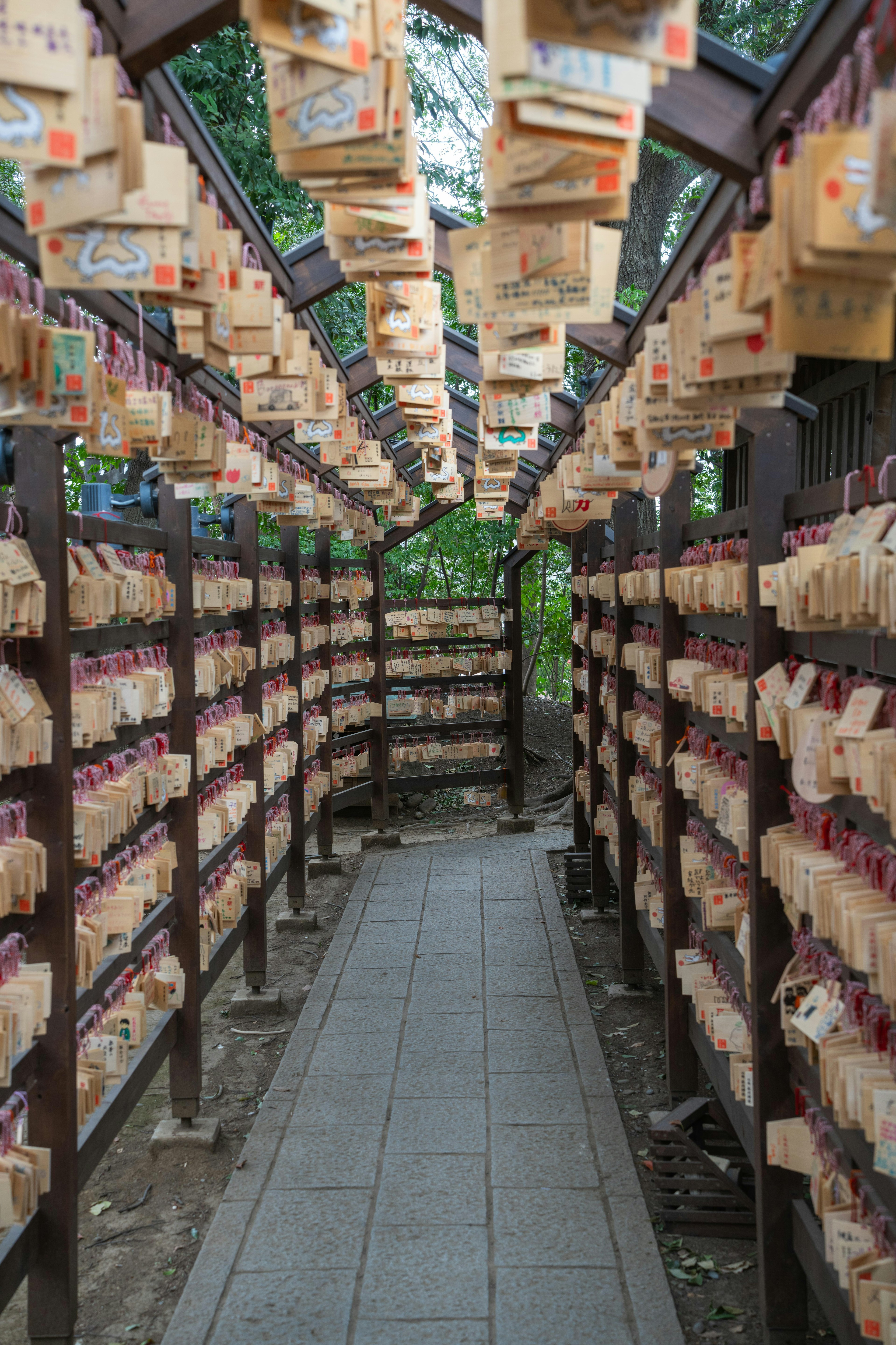 Allée bordée de plaques ema en bois dans un sanctuaire