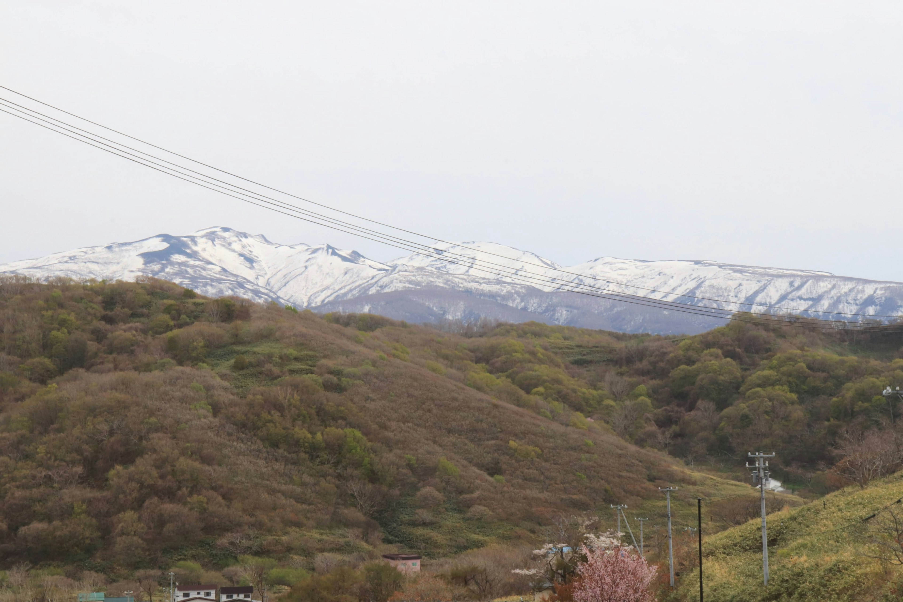 雪をかぶった山々と緑の丘の風景