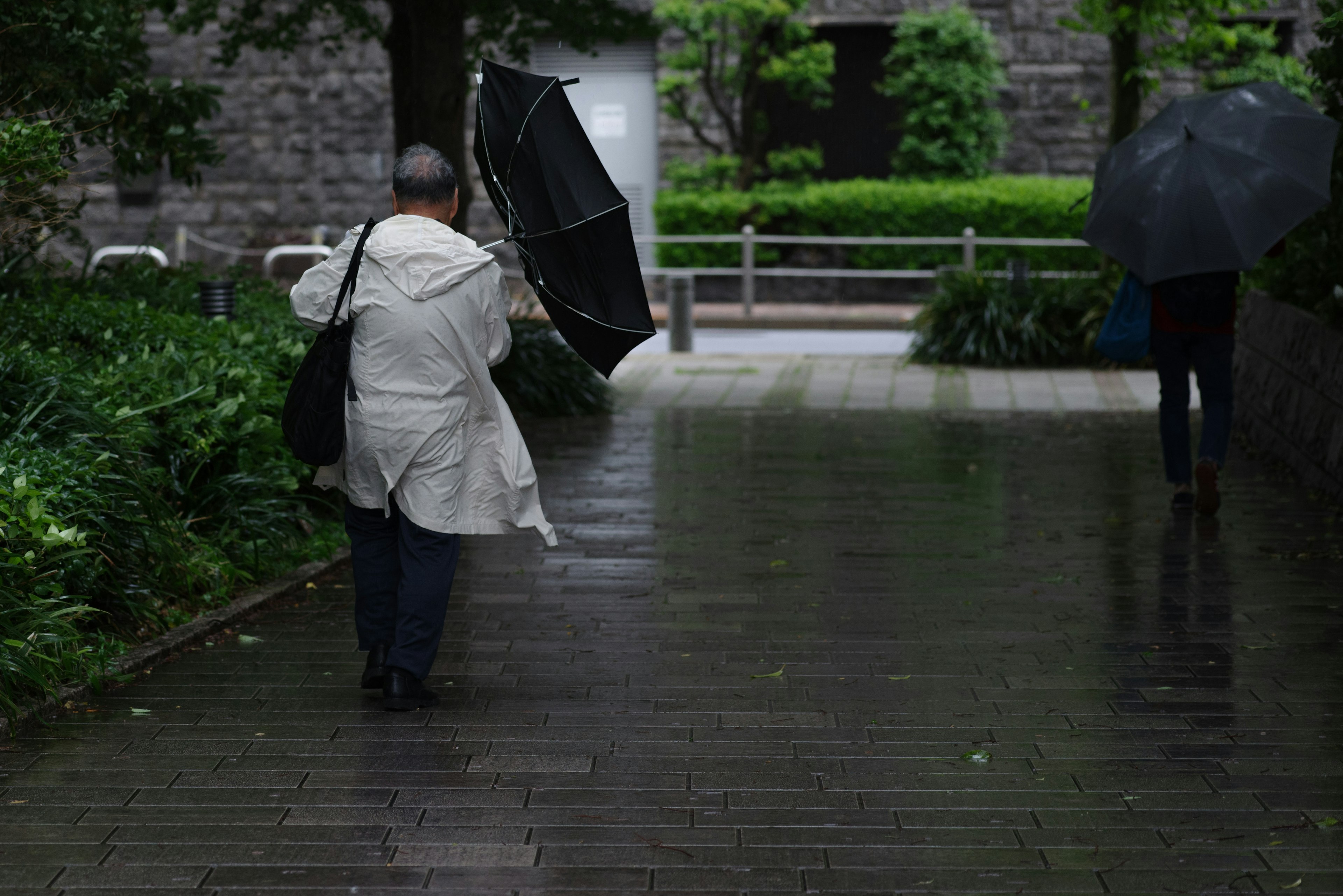 Des personnes marchant sous la pluie avec des parapluies entourées de verdure