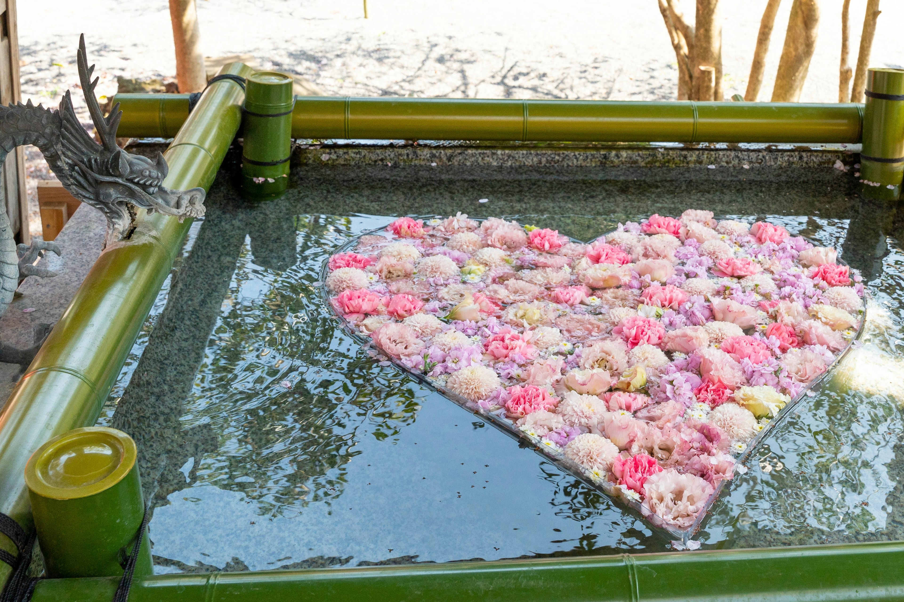 Pétalos de flores en forma de corazón flotando sobre el agua con un marco de bambú