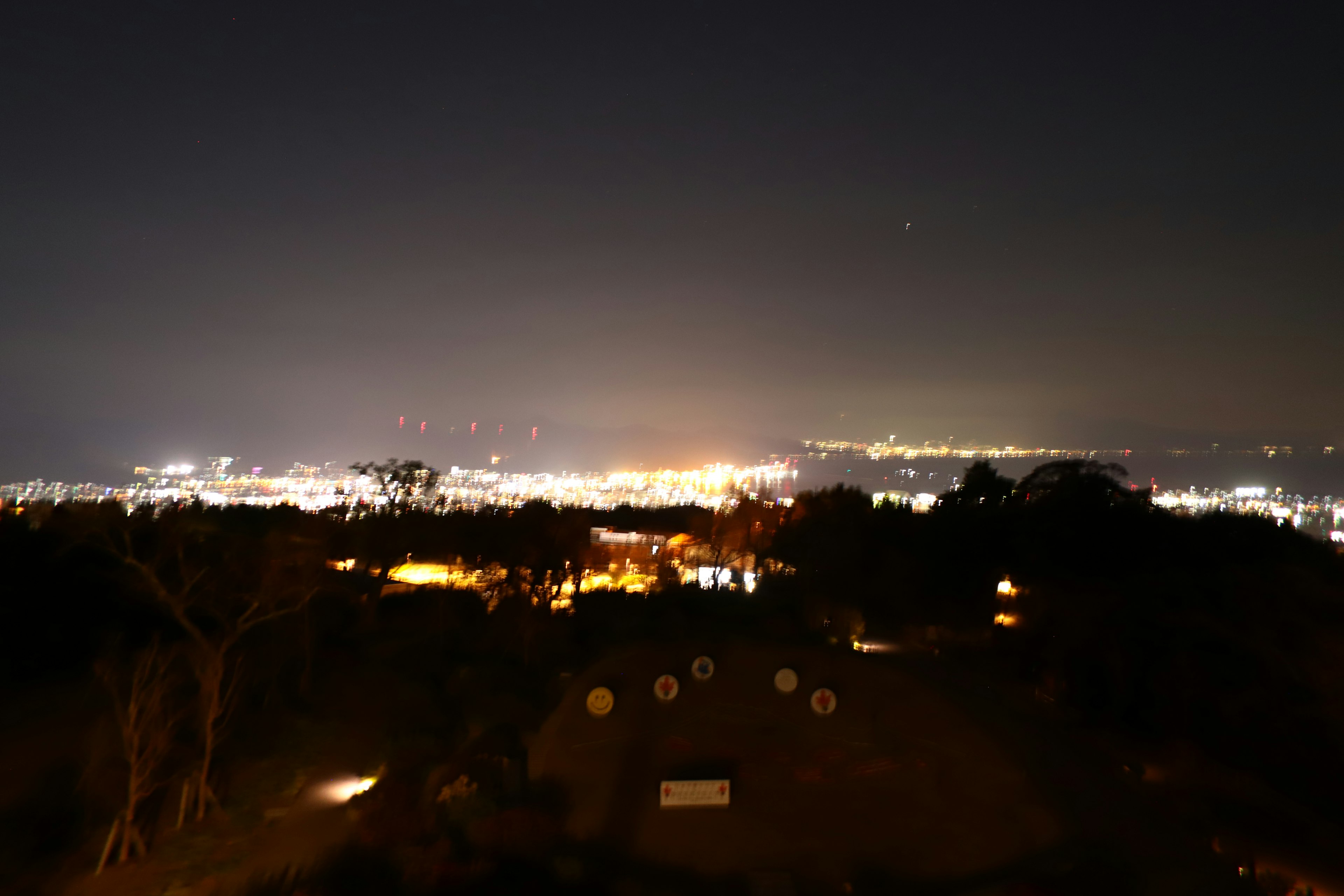 Paesaggio urbano notturno con luci della città e silhouette di alberi