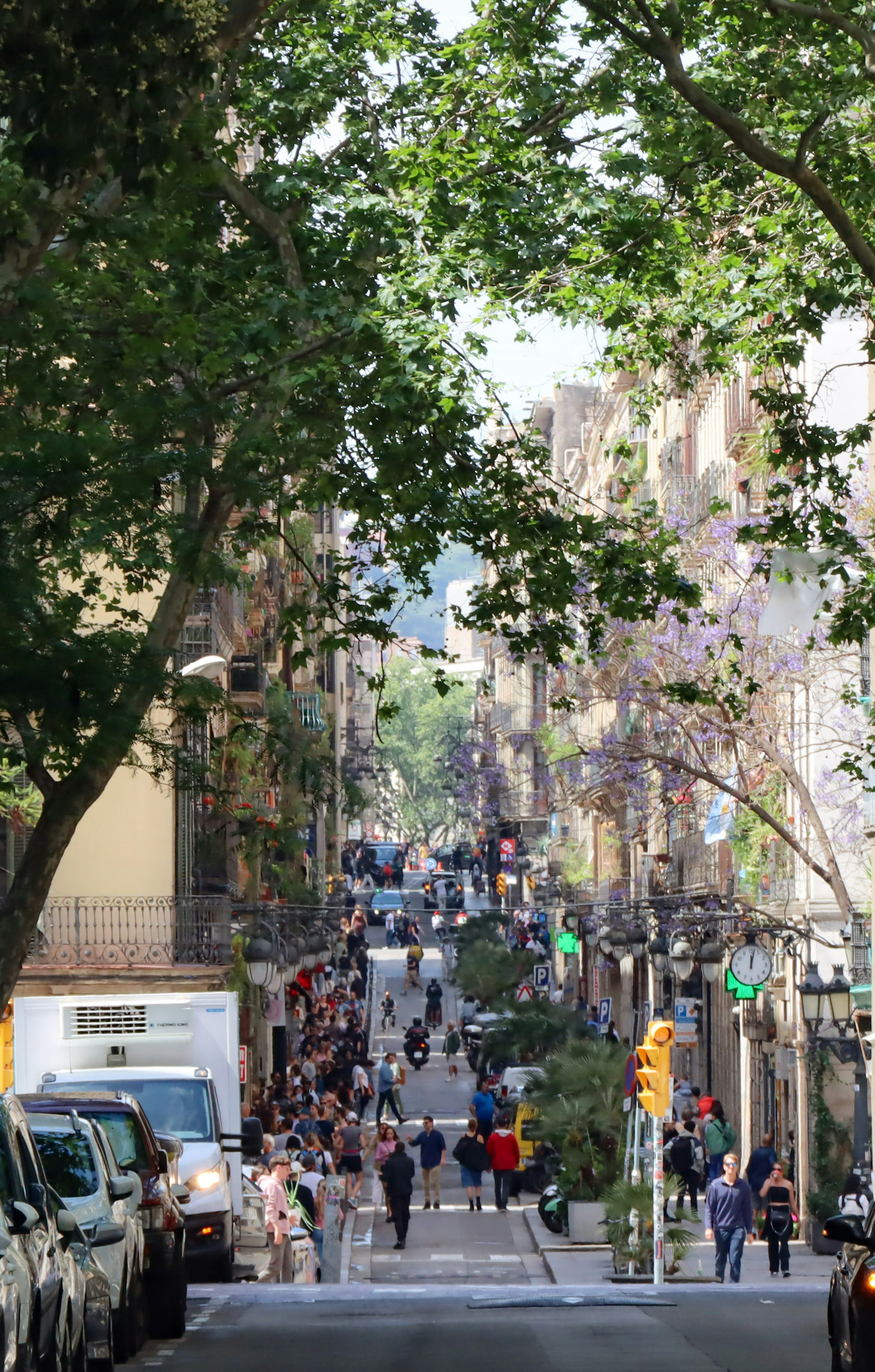 Strada affollata fiancheggiata da alberi e persone