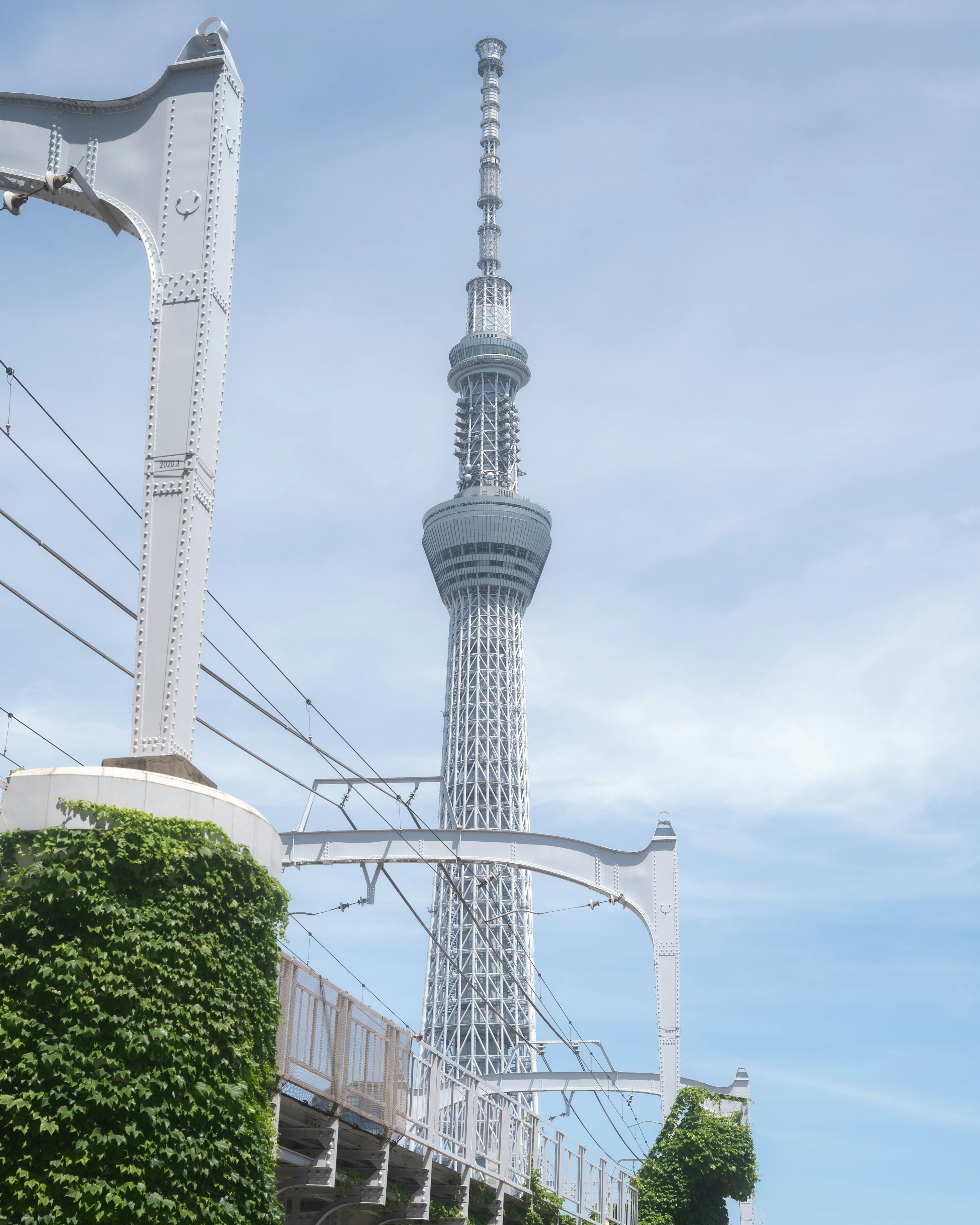 东京晴空下的东京塔