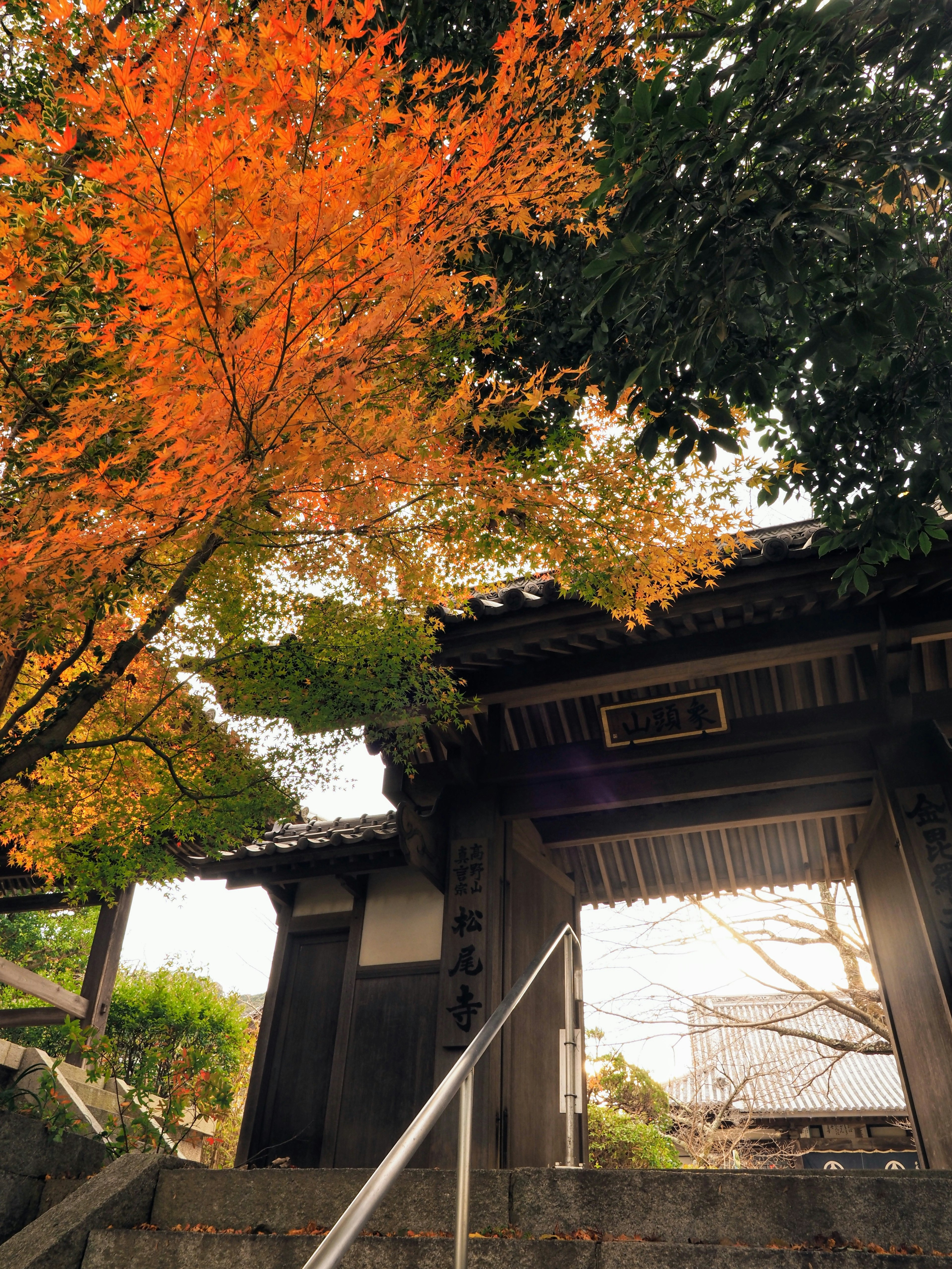 Une vue d'une porte traditionnelle encadrée par des feuilles d'automne orange vives