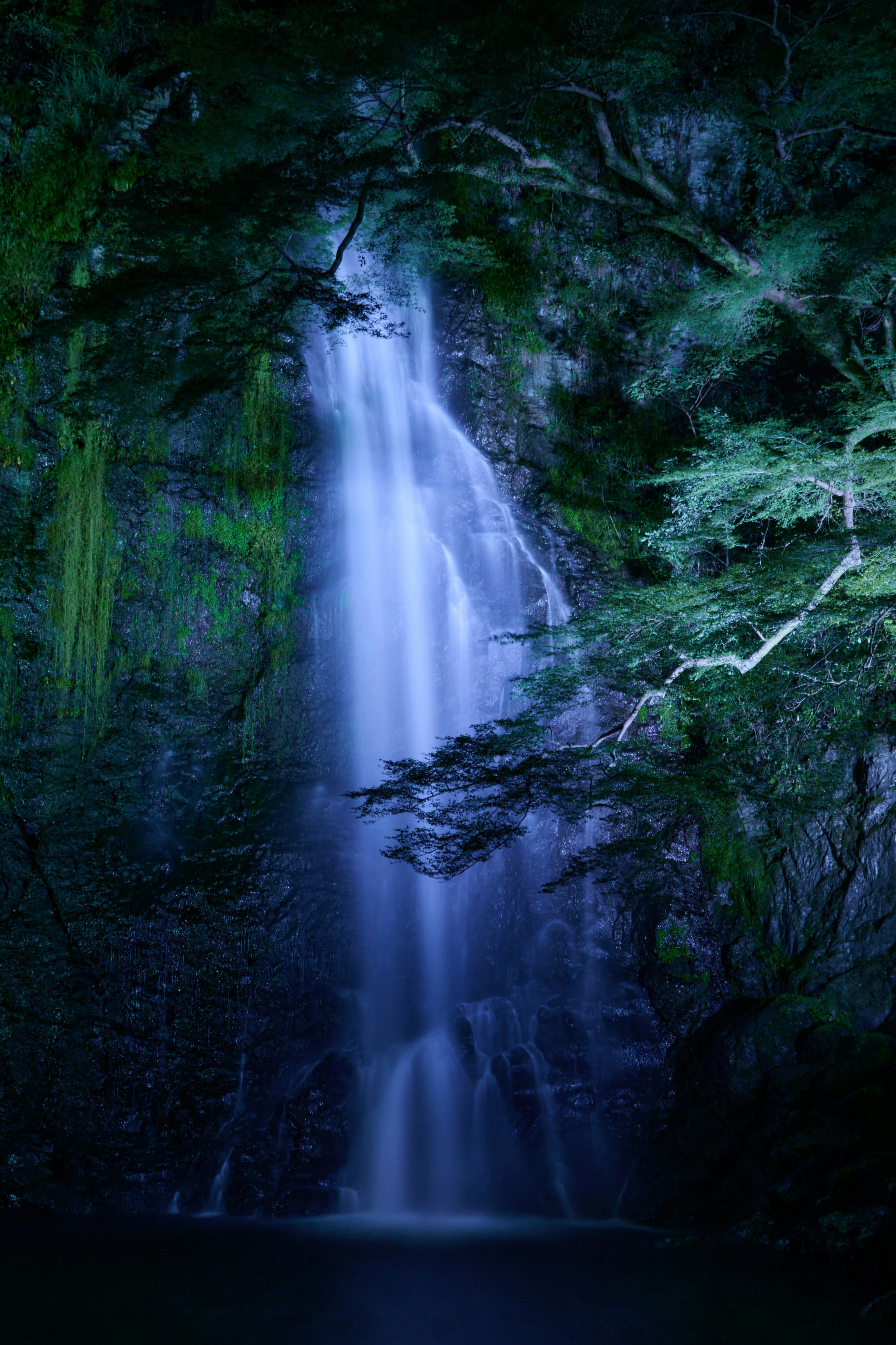 青い光に包まれた滝と緑の木々の風景