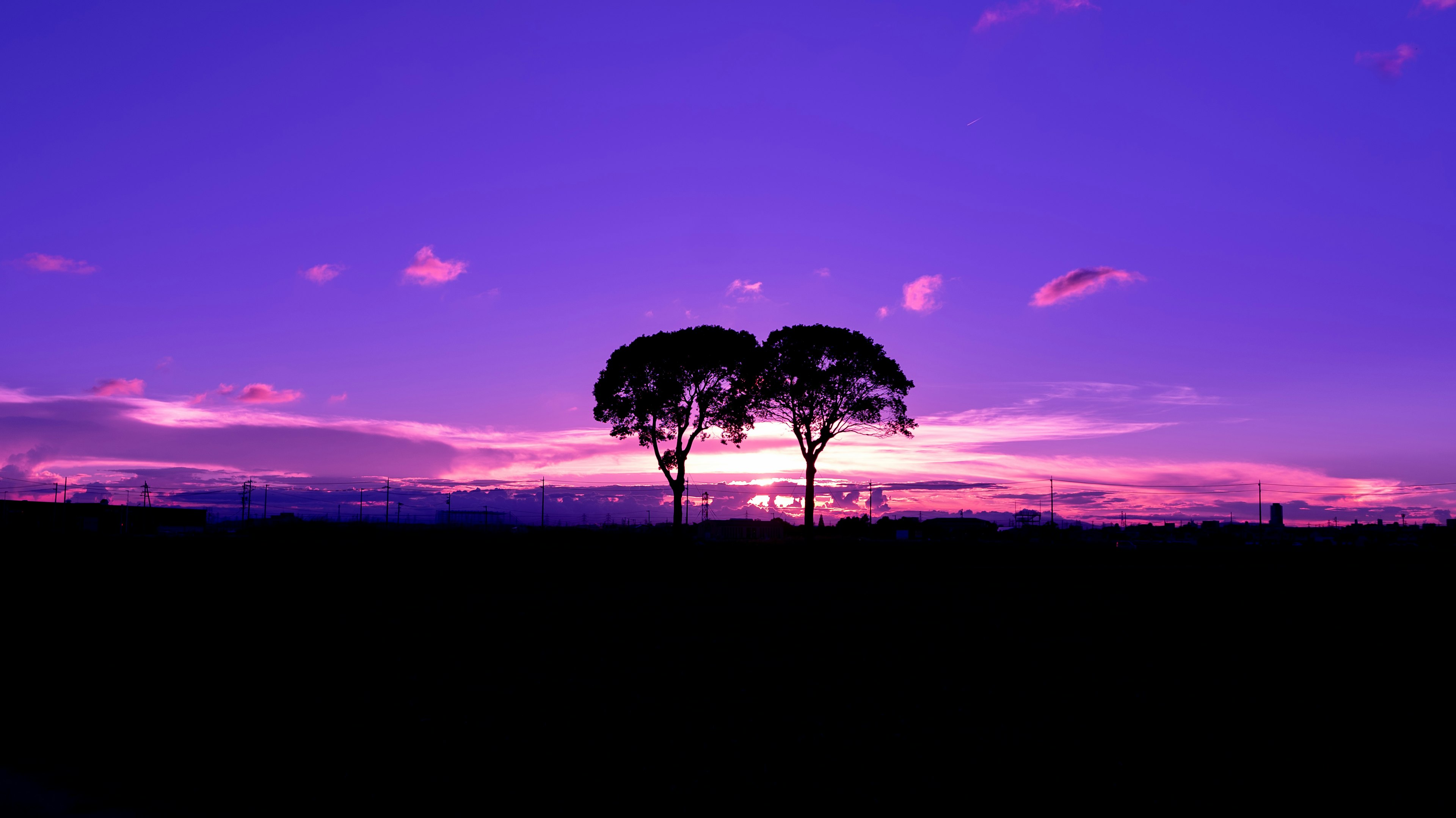 夕暮れの紫色の空に silhouetted した二本の木