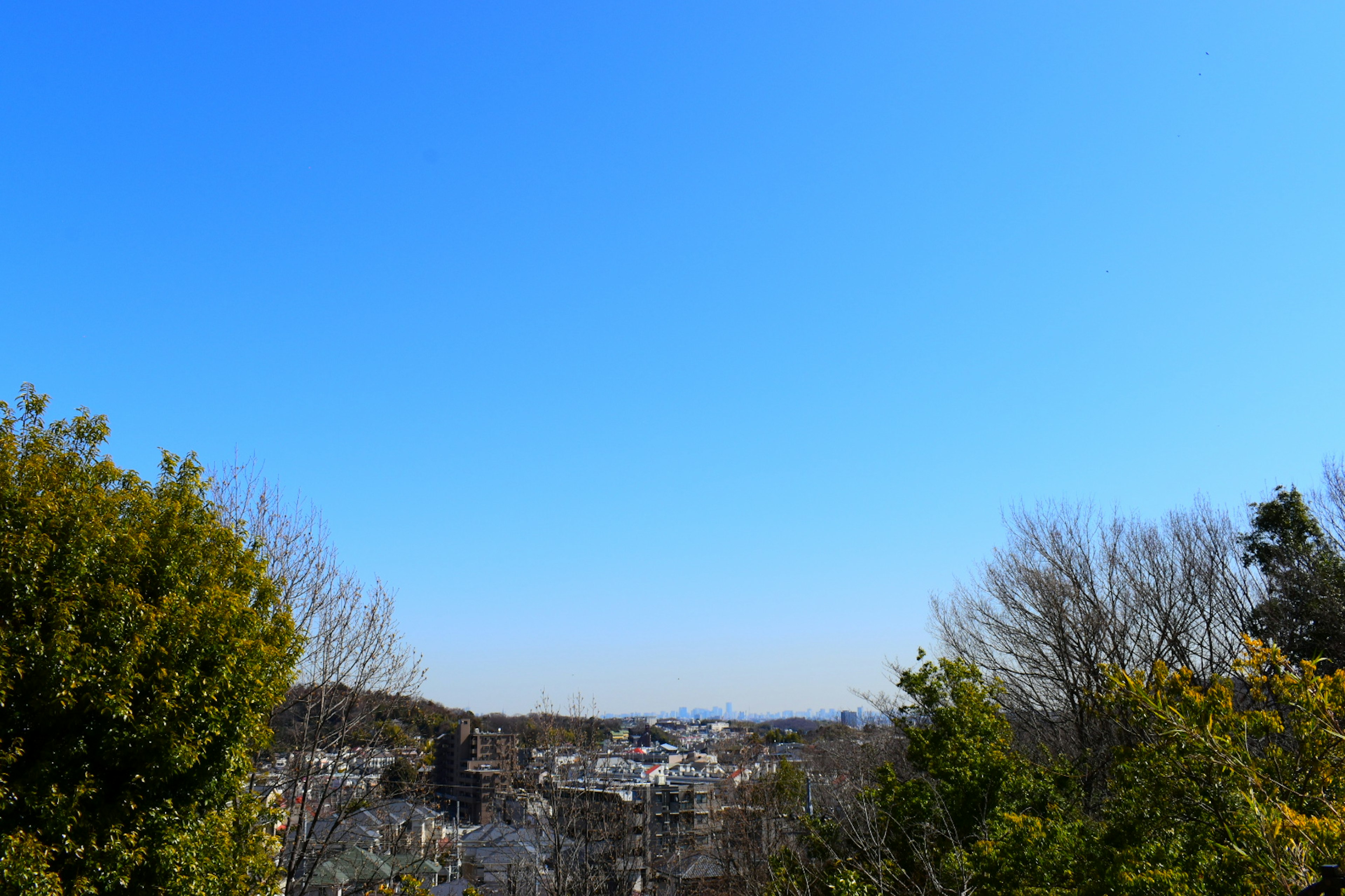 Cityscape under a clear blue sky with green trees