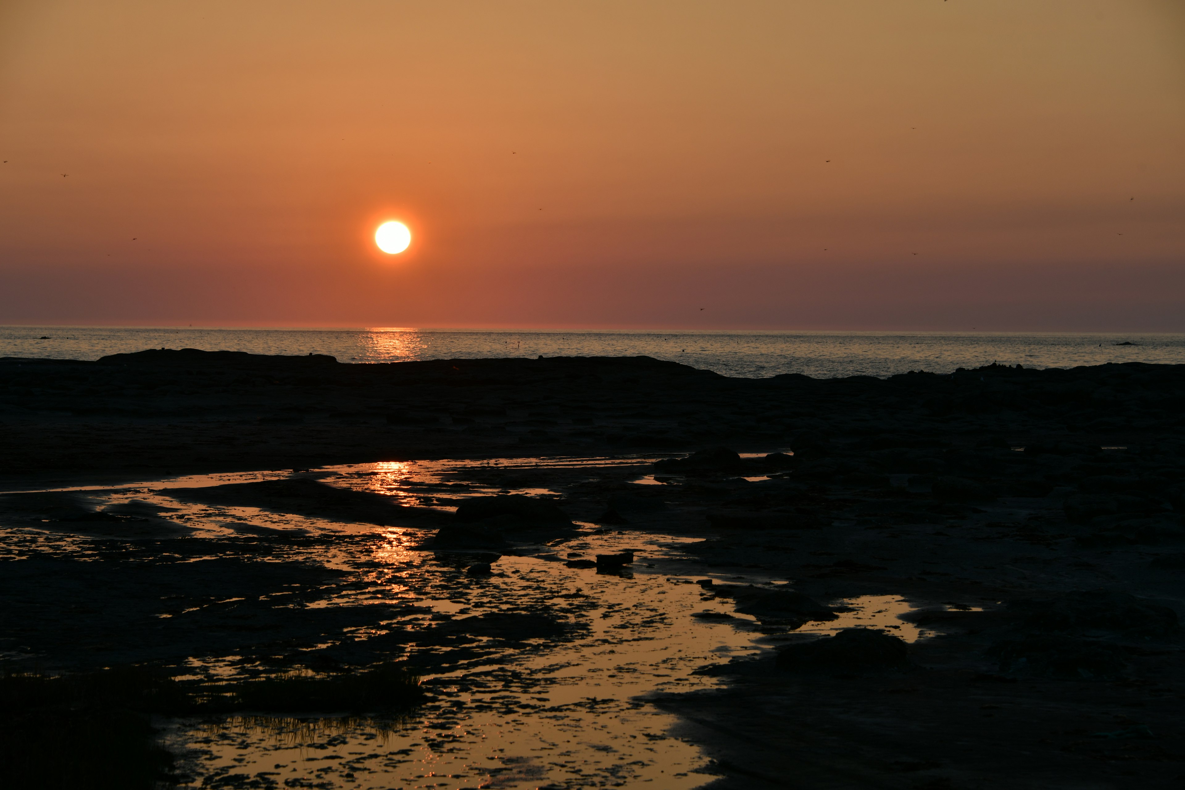 Sunset over the ocean with rocky shoreline and water flow