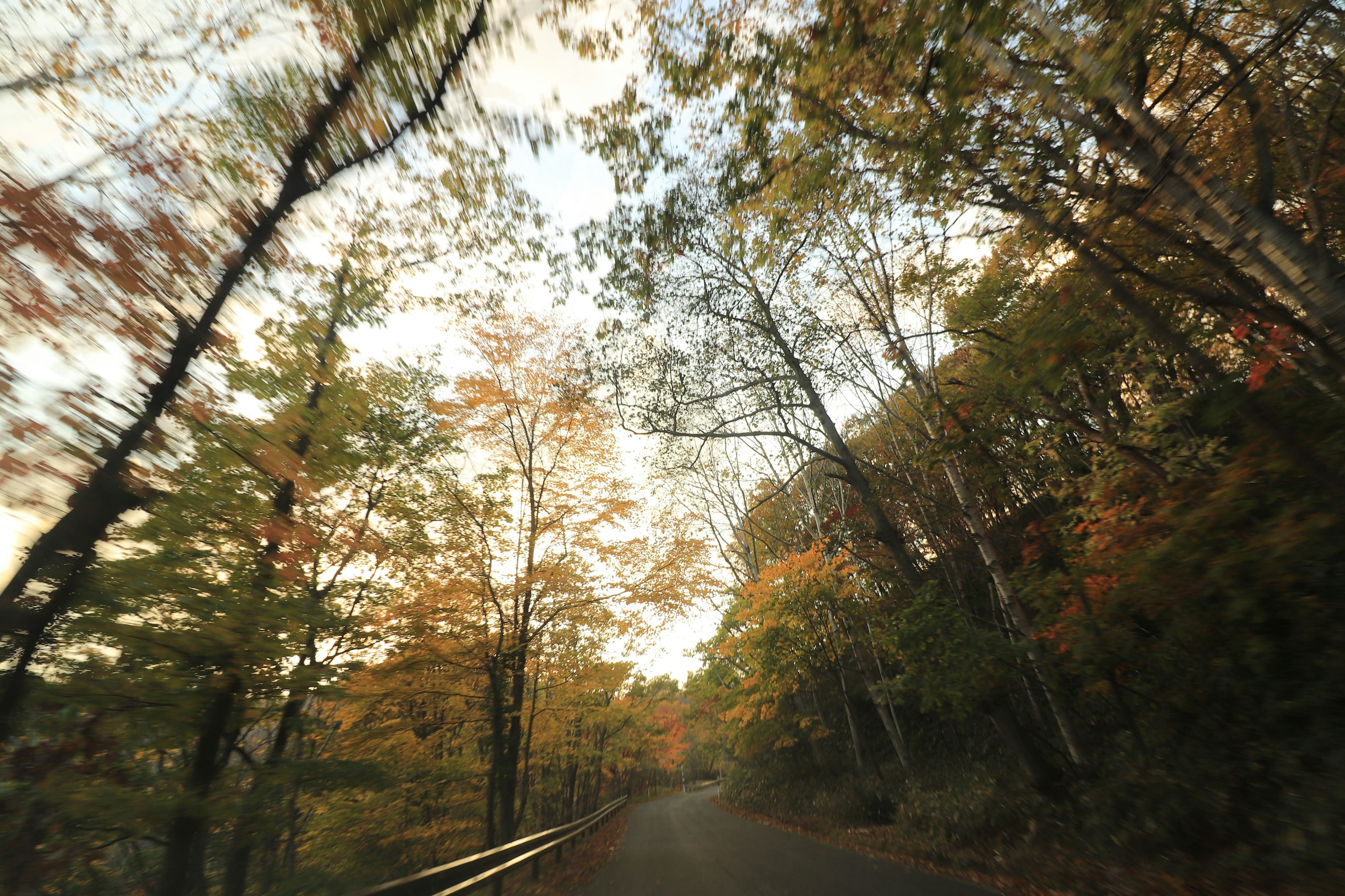 Une route sinueuse entourée d'arbres d'automne