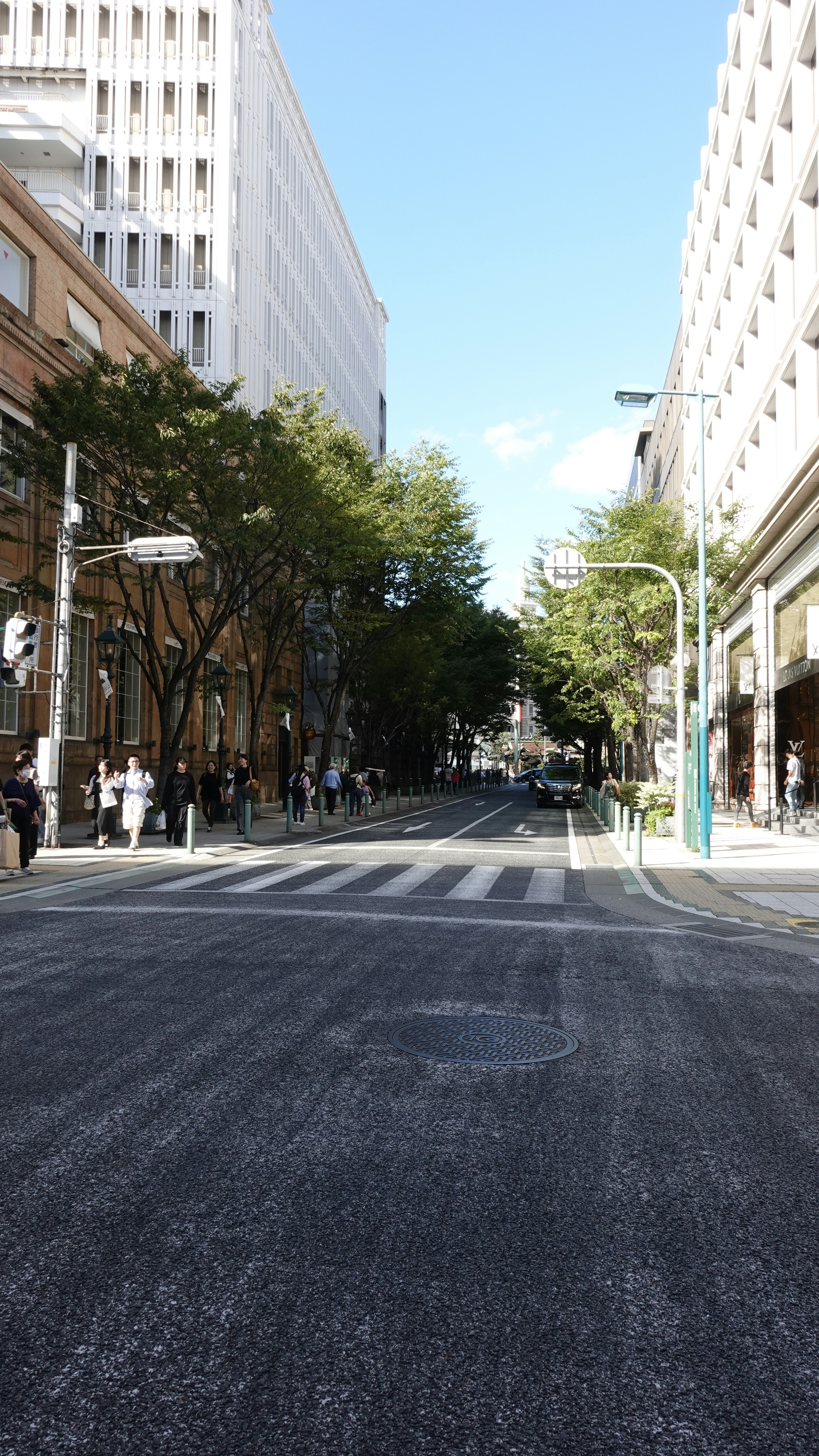 Vue urbaine d'une rue avec des bâtiments commerciaux et des arbres le long de la route