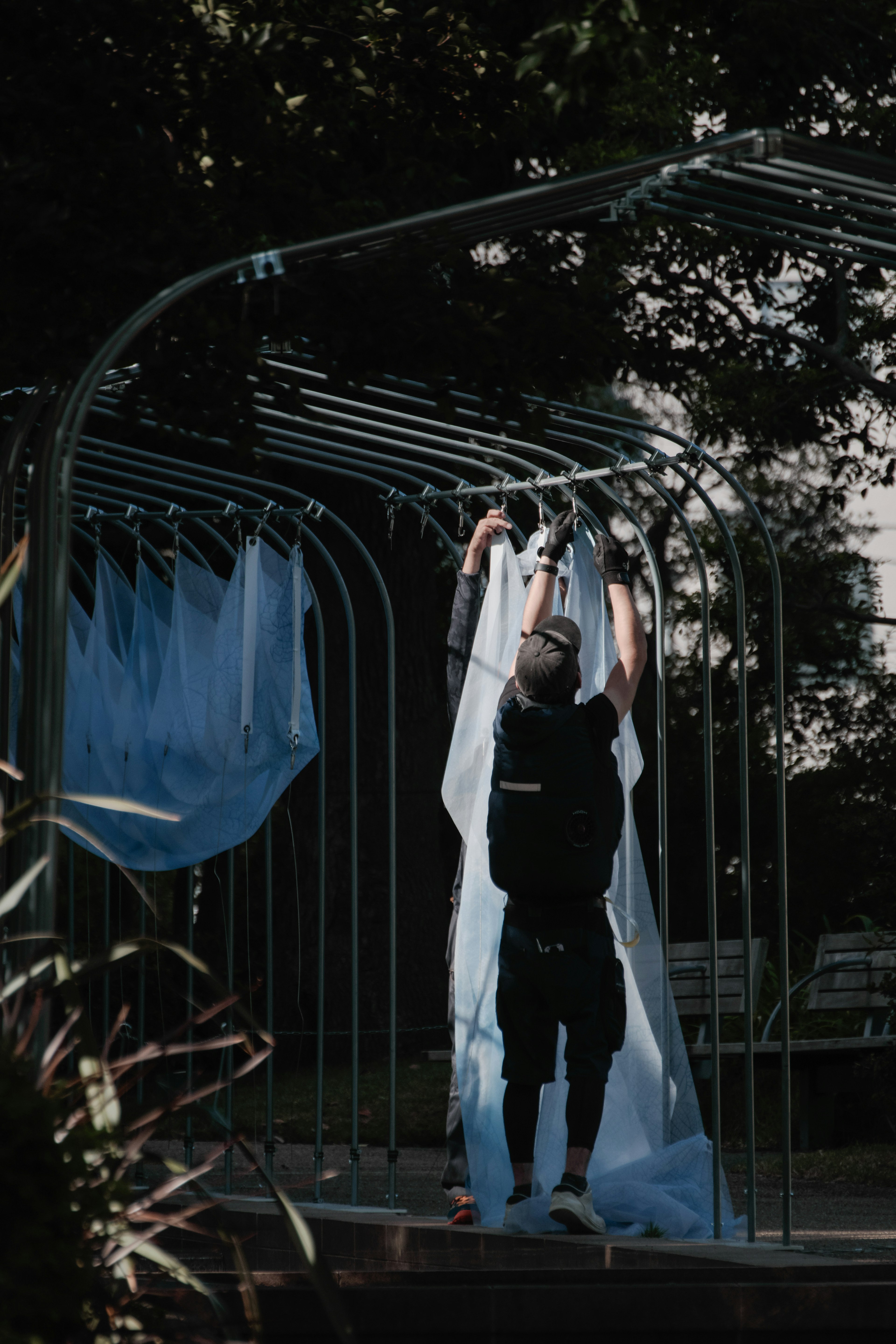 A person hanging blue fabric in a park setting