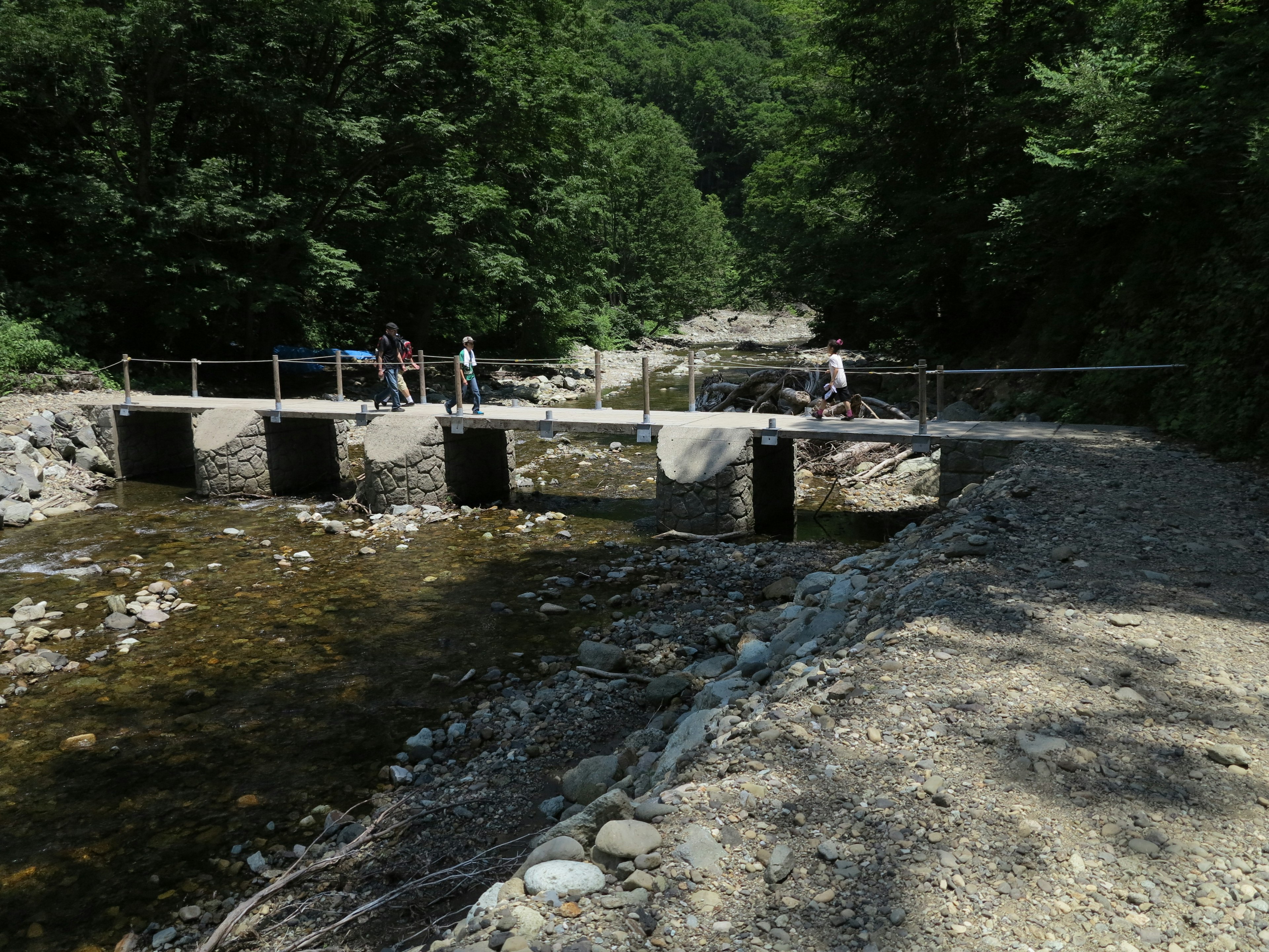 Brücke über einen Fluss umgeben von üppigen grünen Bäumen