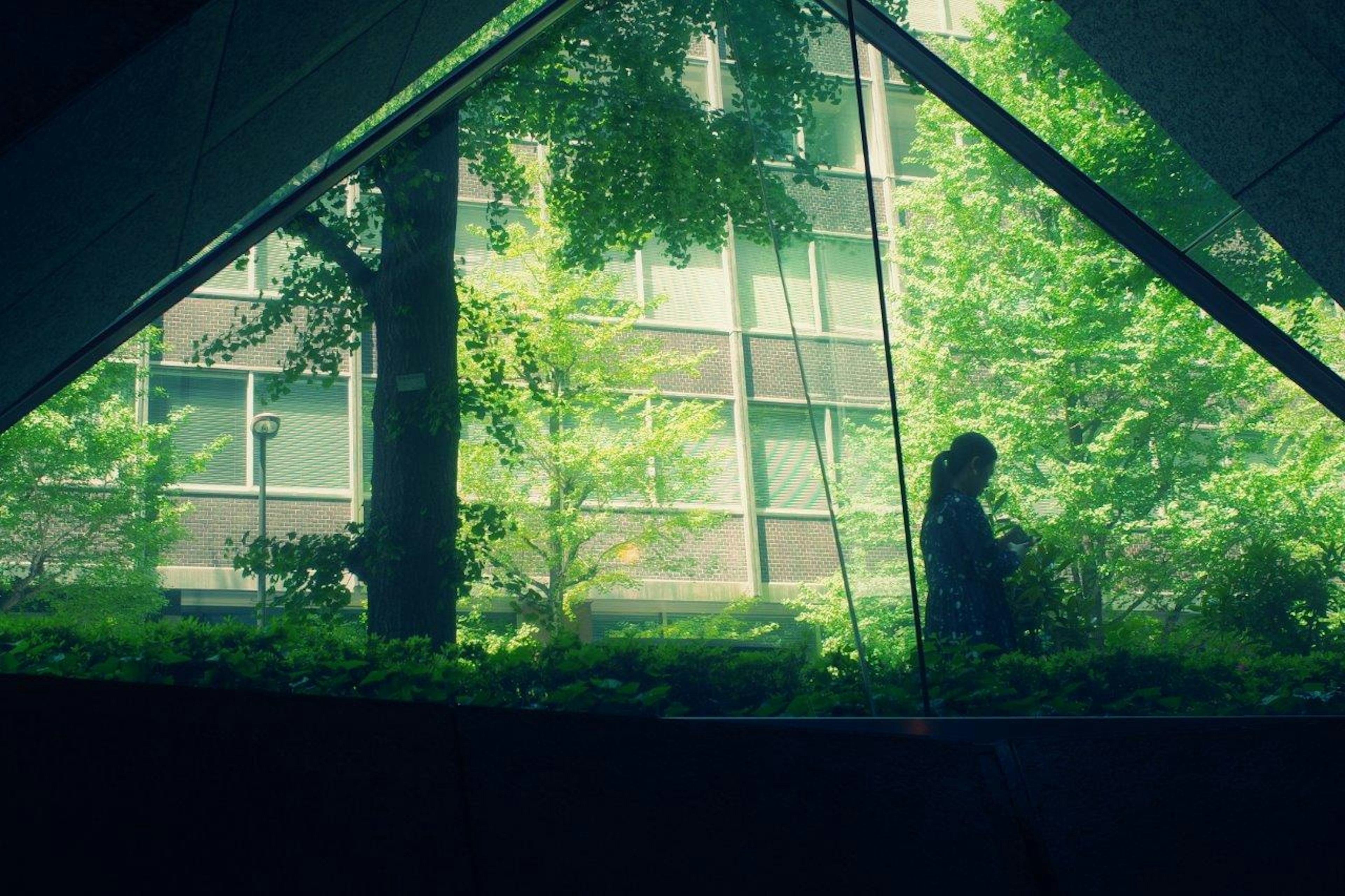 Silhouette of a person seen through a triangular window with lush greenery in the background