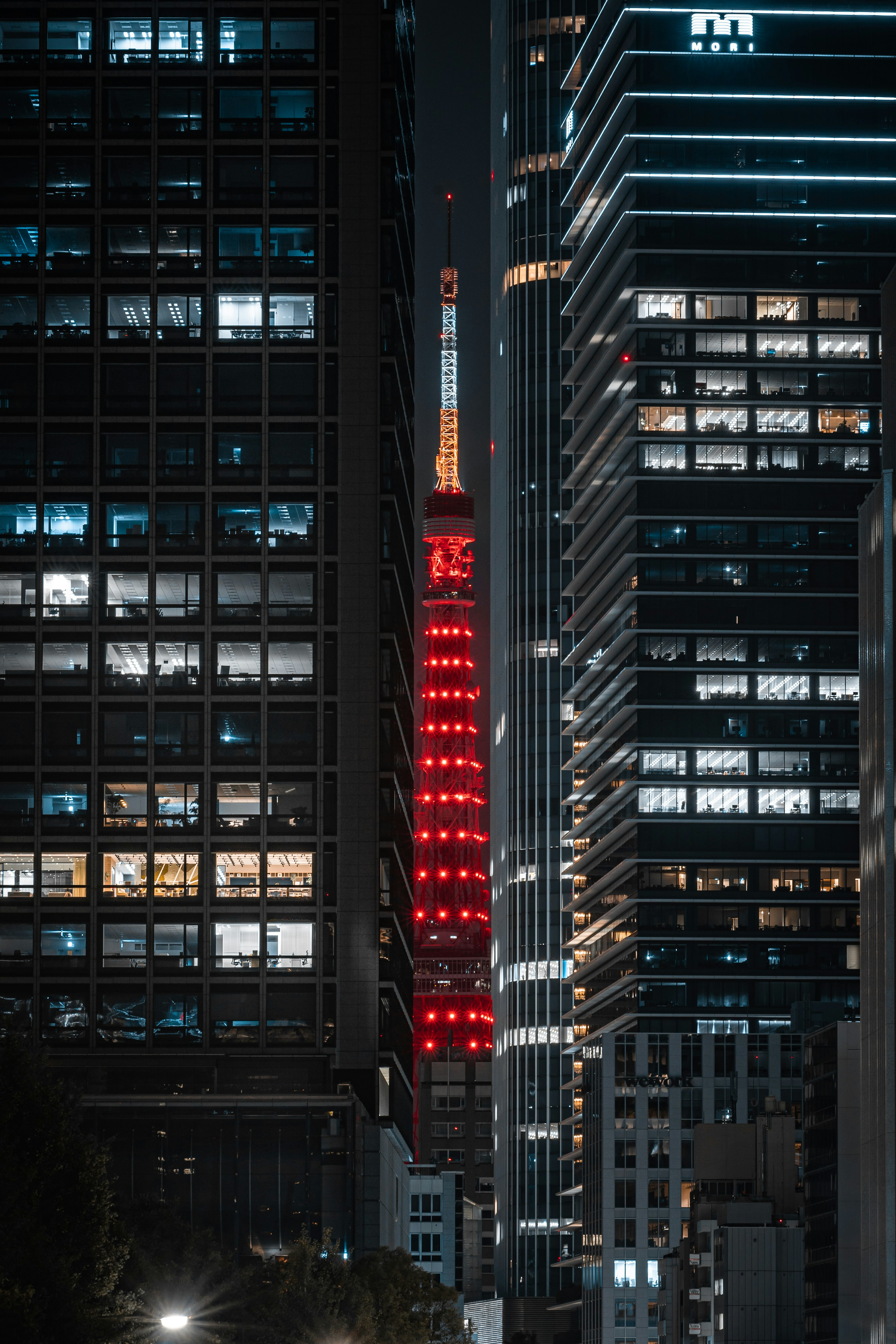 Menara Tokyo yang diterangi merah di malam hari di antara gedung pencakar langit