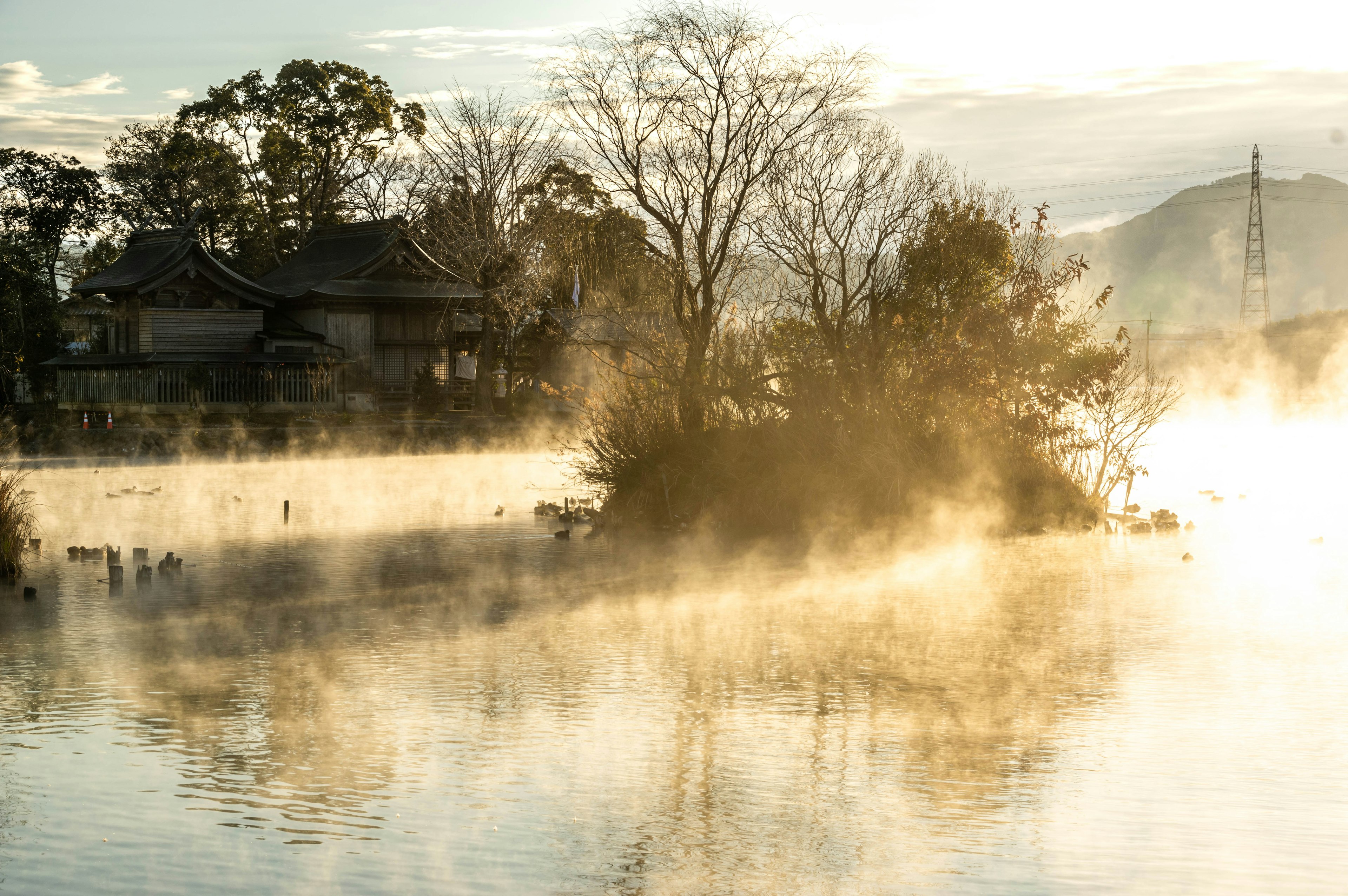 Tranquil lake scene with mist and morning sunlight featuring trees and houses