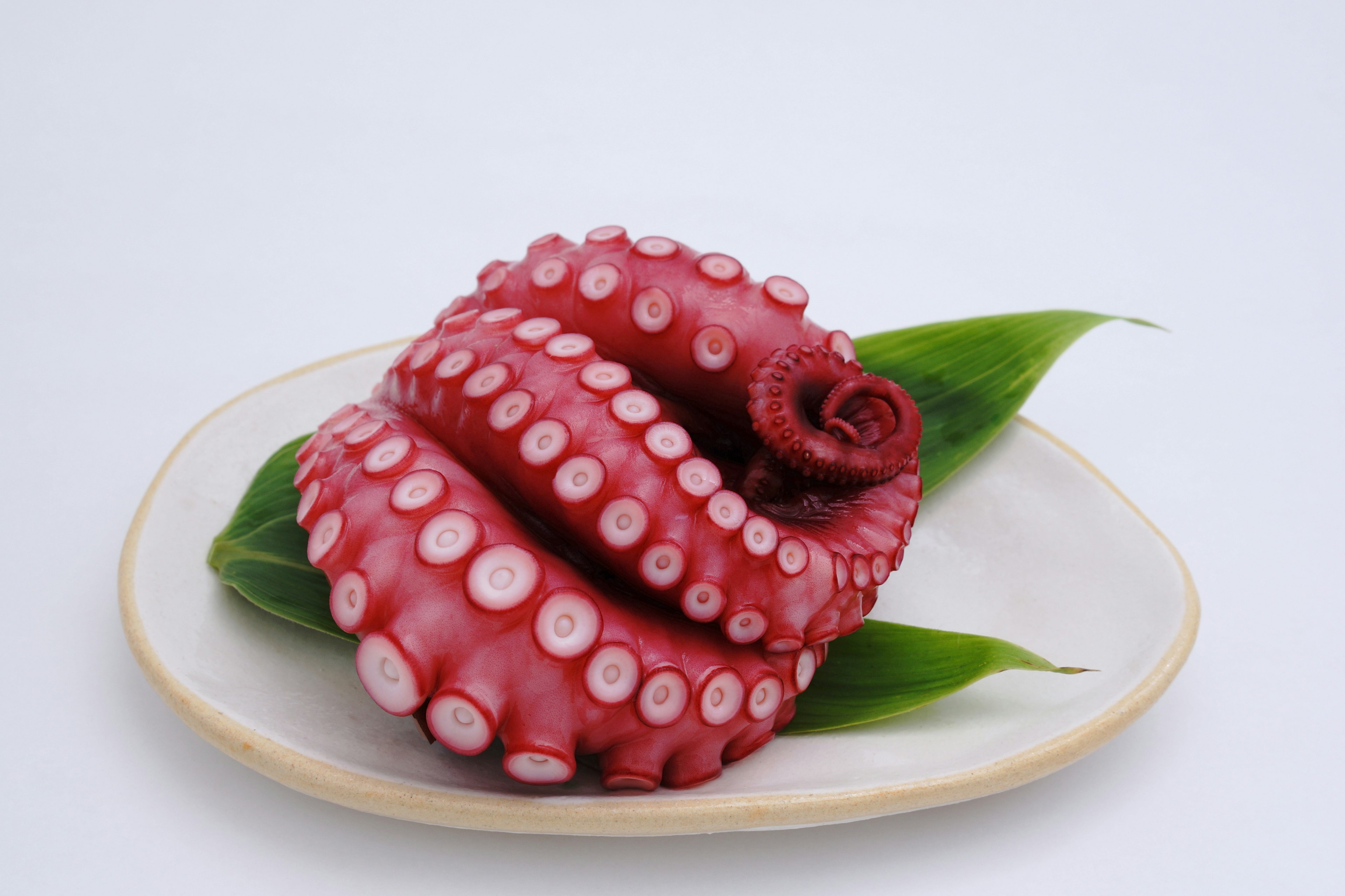 Vibrant red octopus displayed on a plate with green leaves