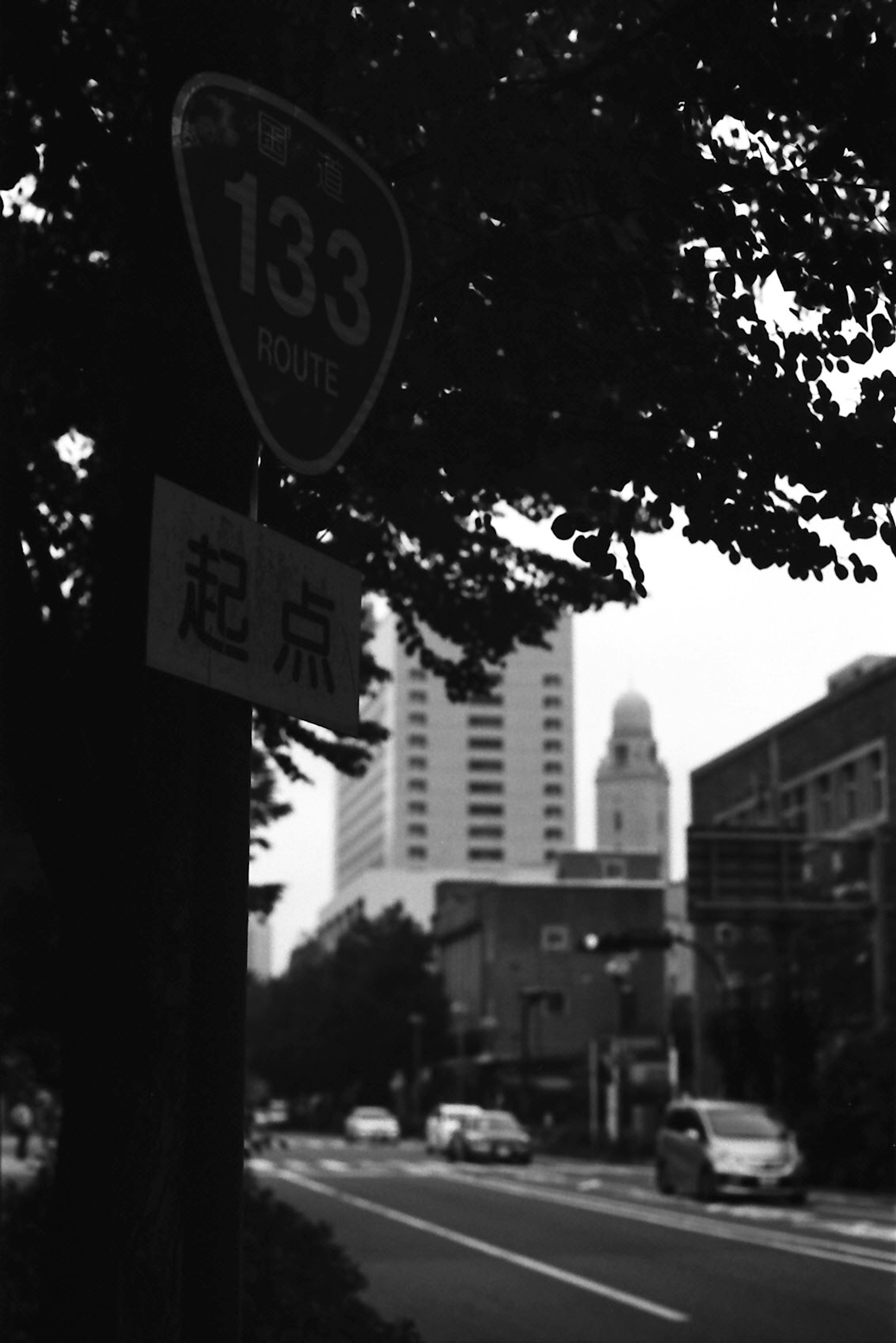 黒白の街路標識と高層ビルが見える都市の風景