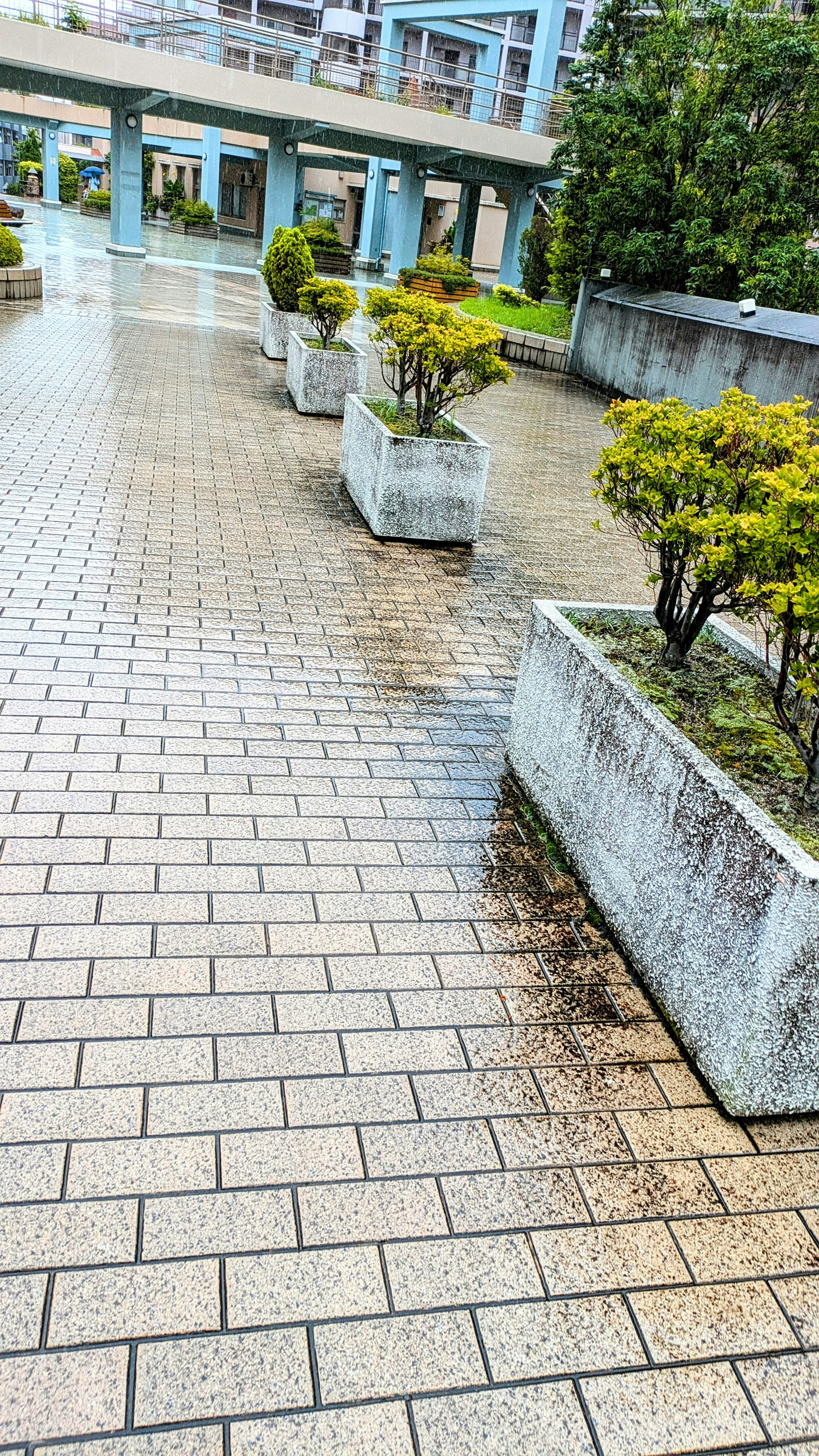 Ruhige Parksituation mit gepflastertem Gehweg und Blumenkübeln