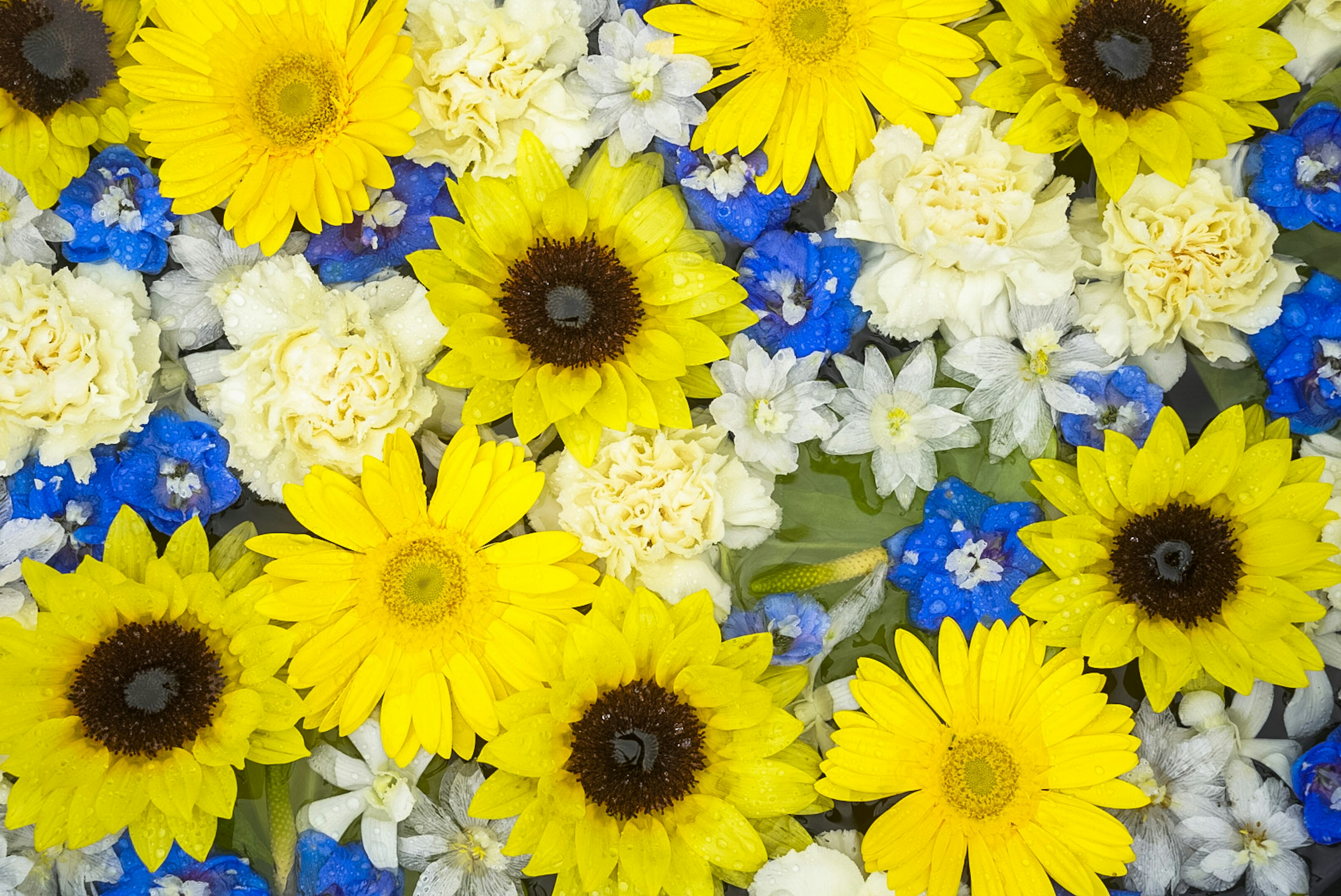 Vibrant arrangement of yellow sunflowers and blue flowers