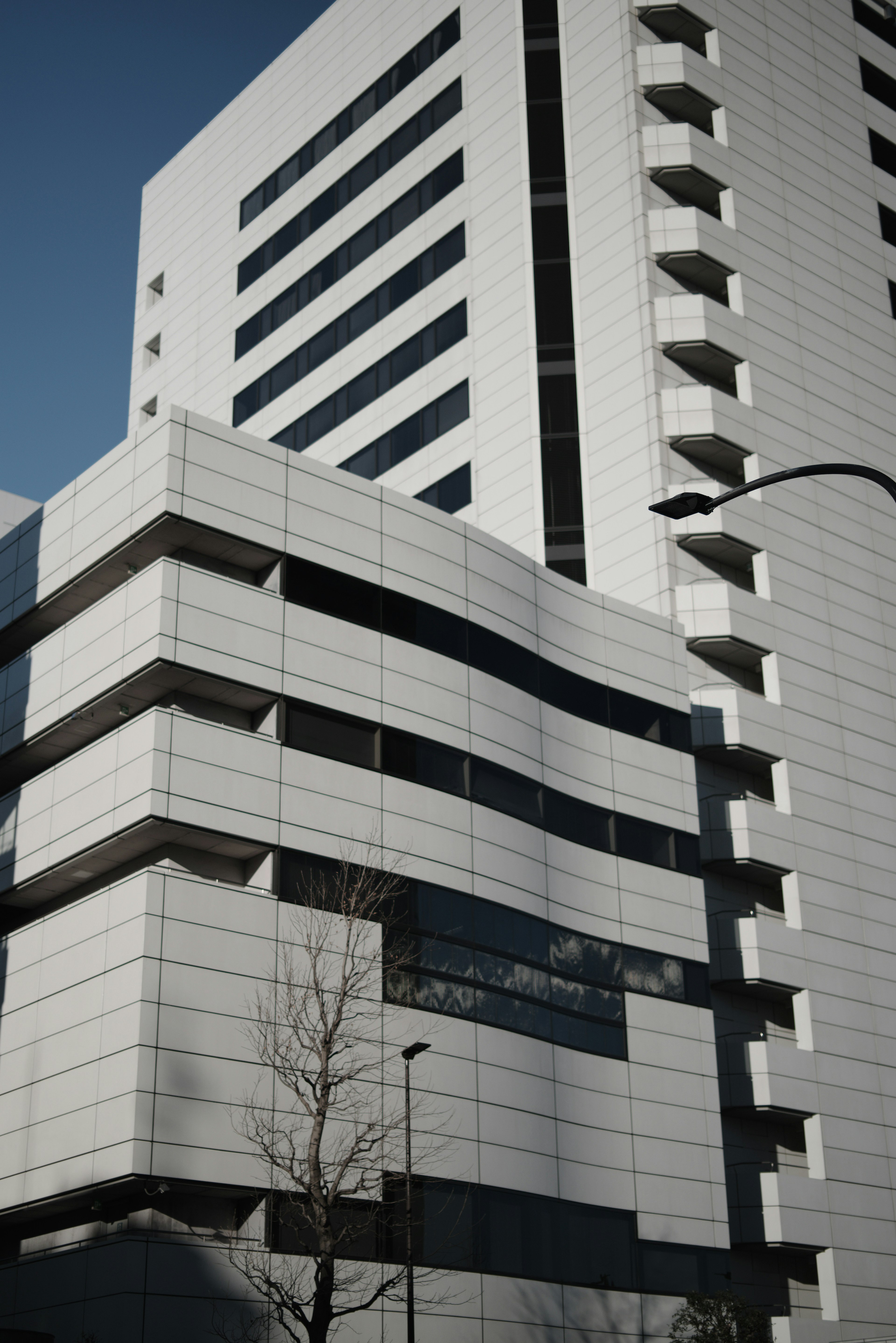 Façade moderne d'un bâtiment avec design linéaire en blanc