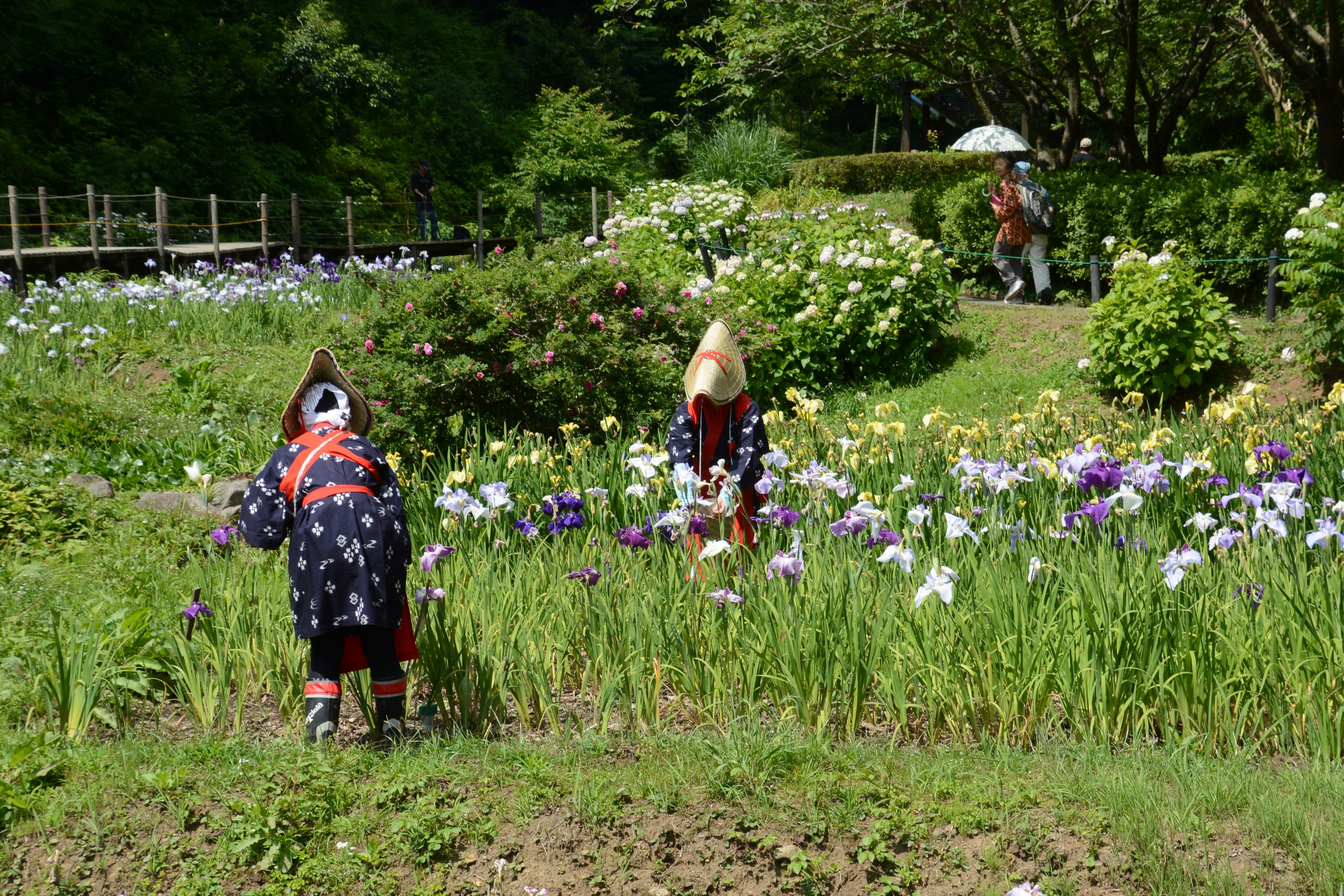 People in traditional attire working in a flower field