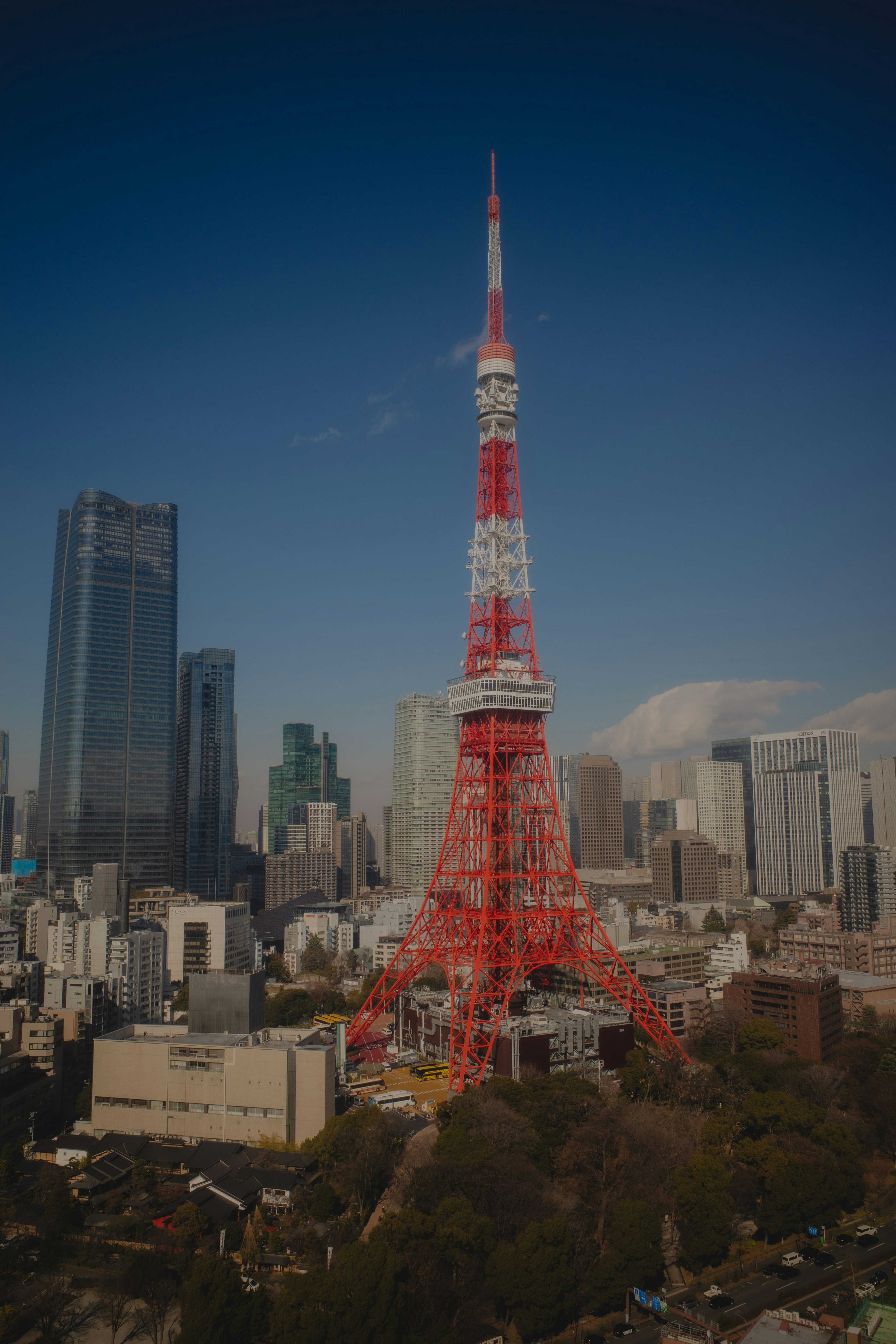 東京タワーの赤と白の構造と周囲の都市景観