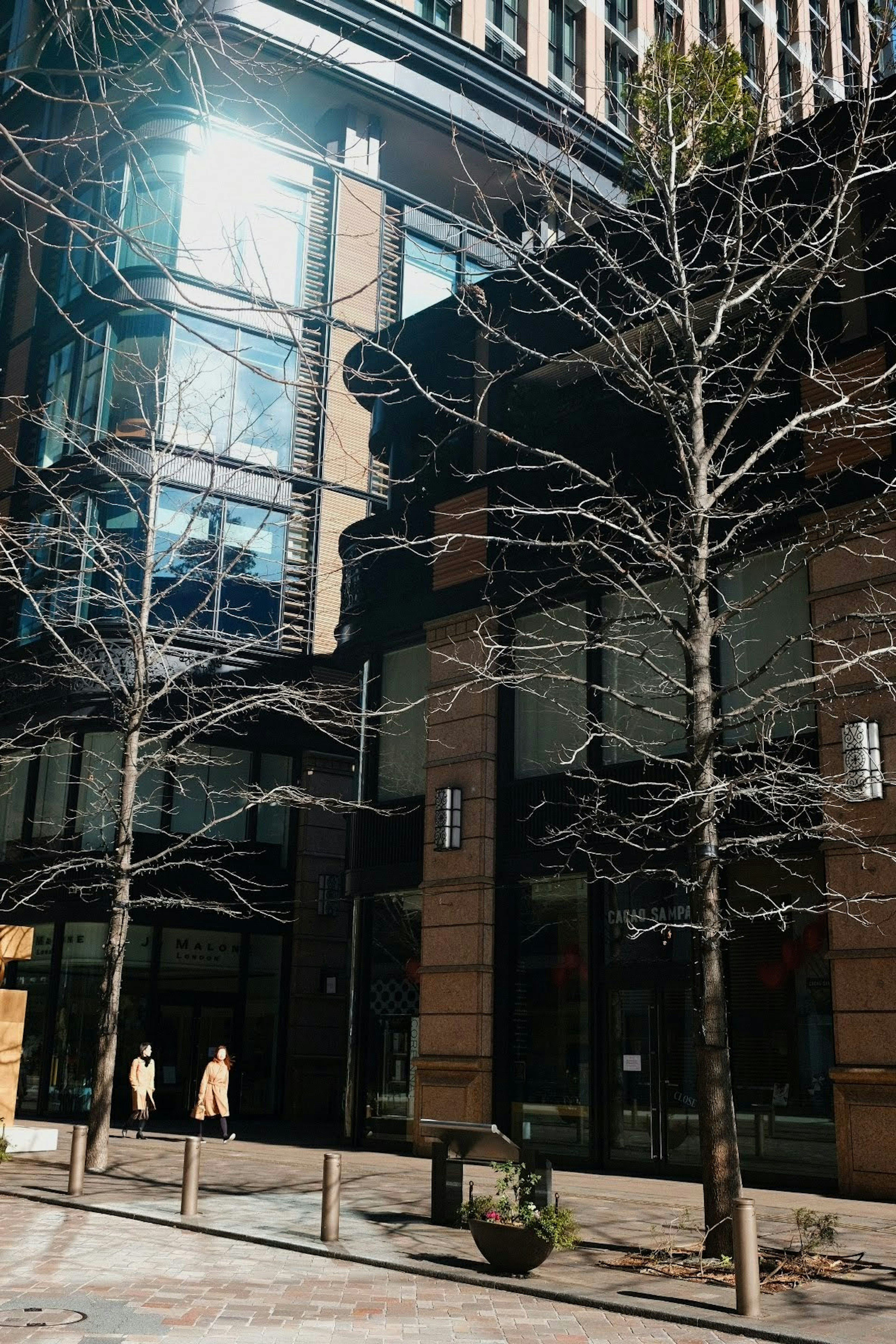 Paesaggio urbano invernale con alberi spogli e moderni edifici in vetro