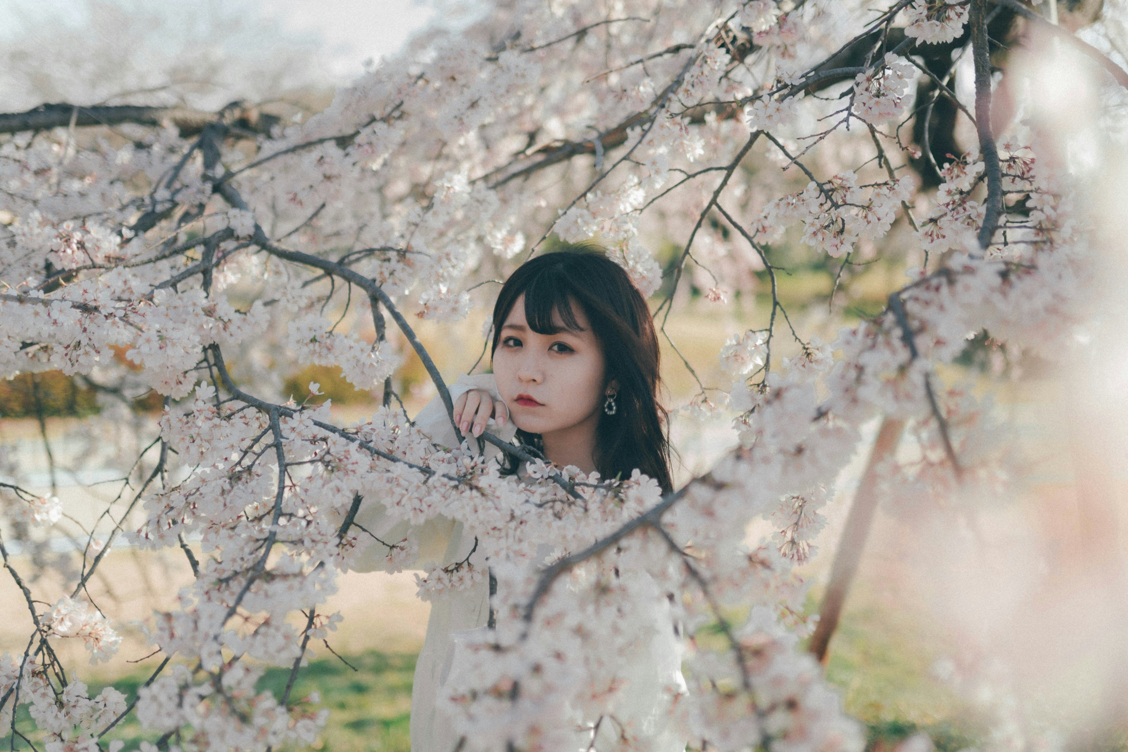 桜の花の間に立つ少女のポートレート