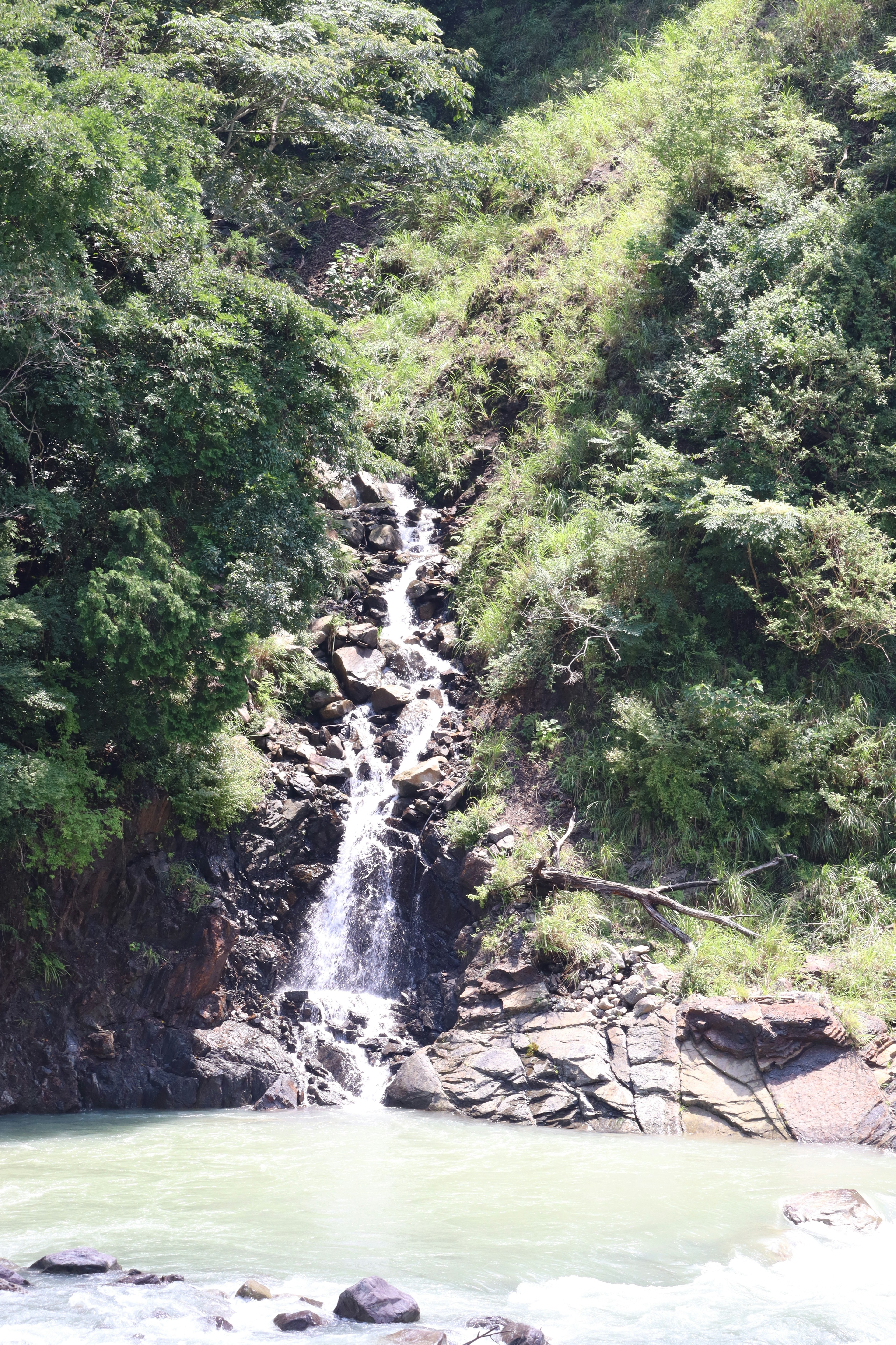 緑に囲まれた小さな滝が岩の間から流れ落ちる風景