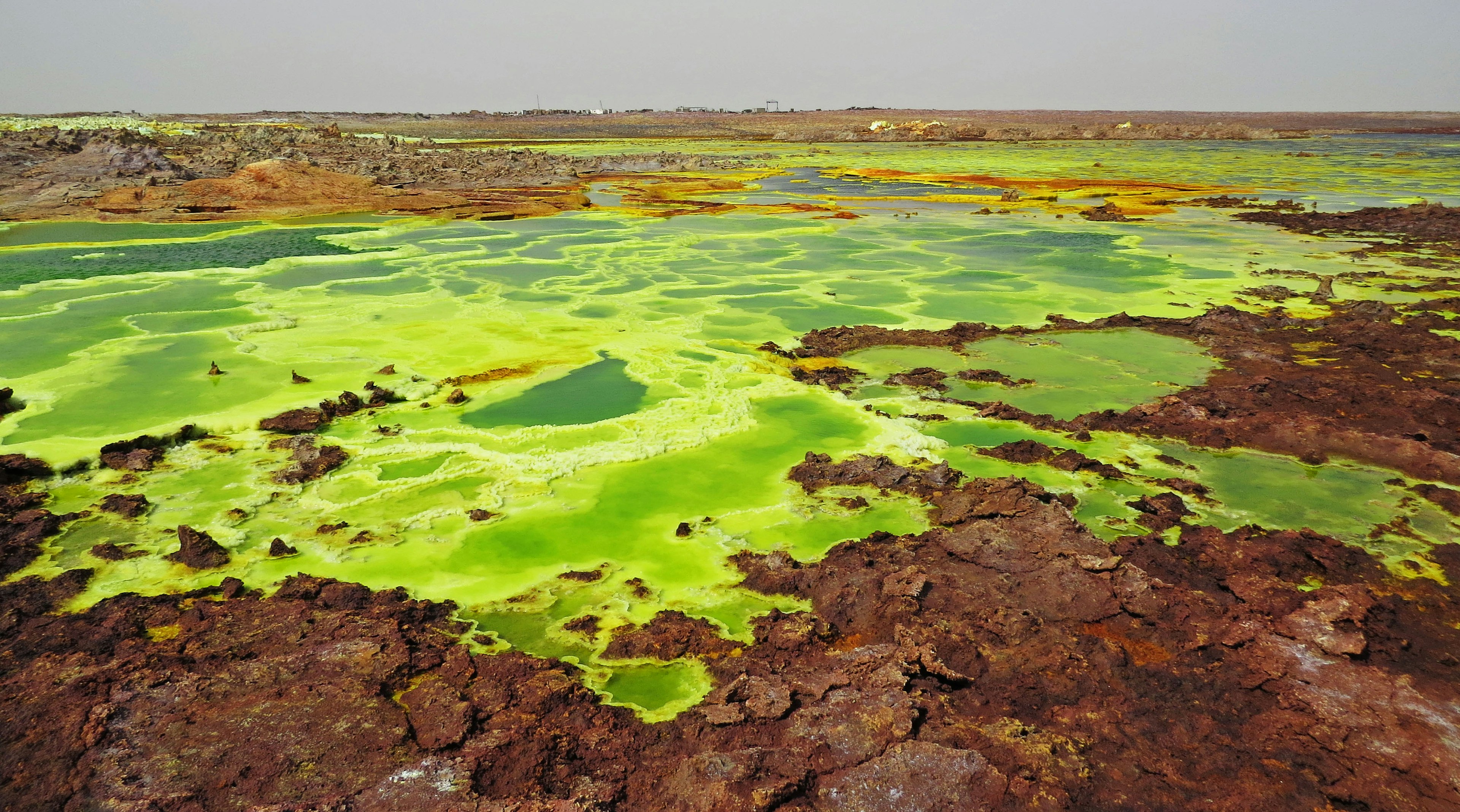 Paysage vaste avec des algues vertes vibrantes sur un terrain rocheux