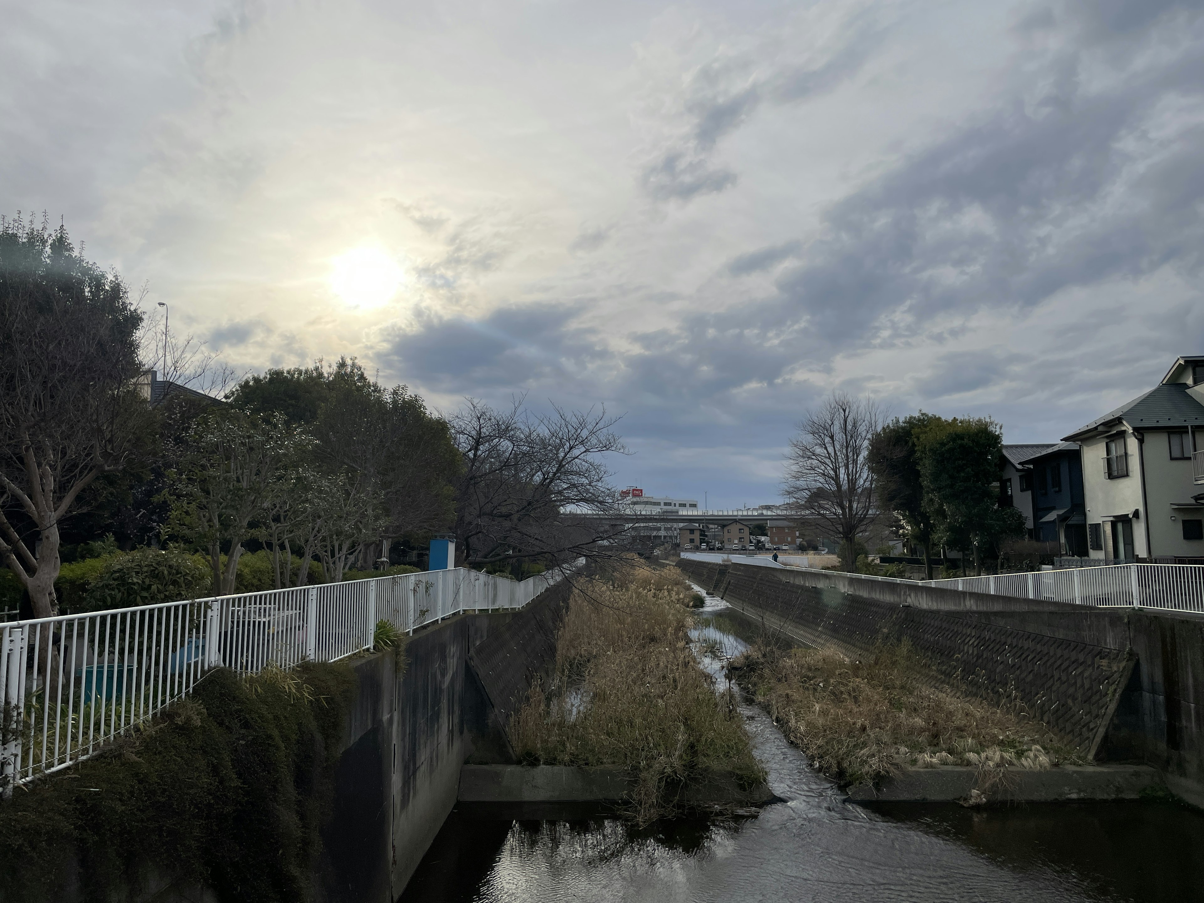 Scenic view by a river with the sun peeking through clouds, lined with green trees and houses