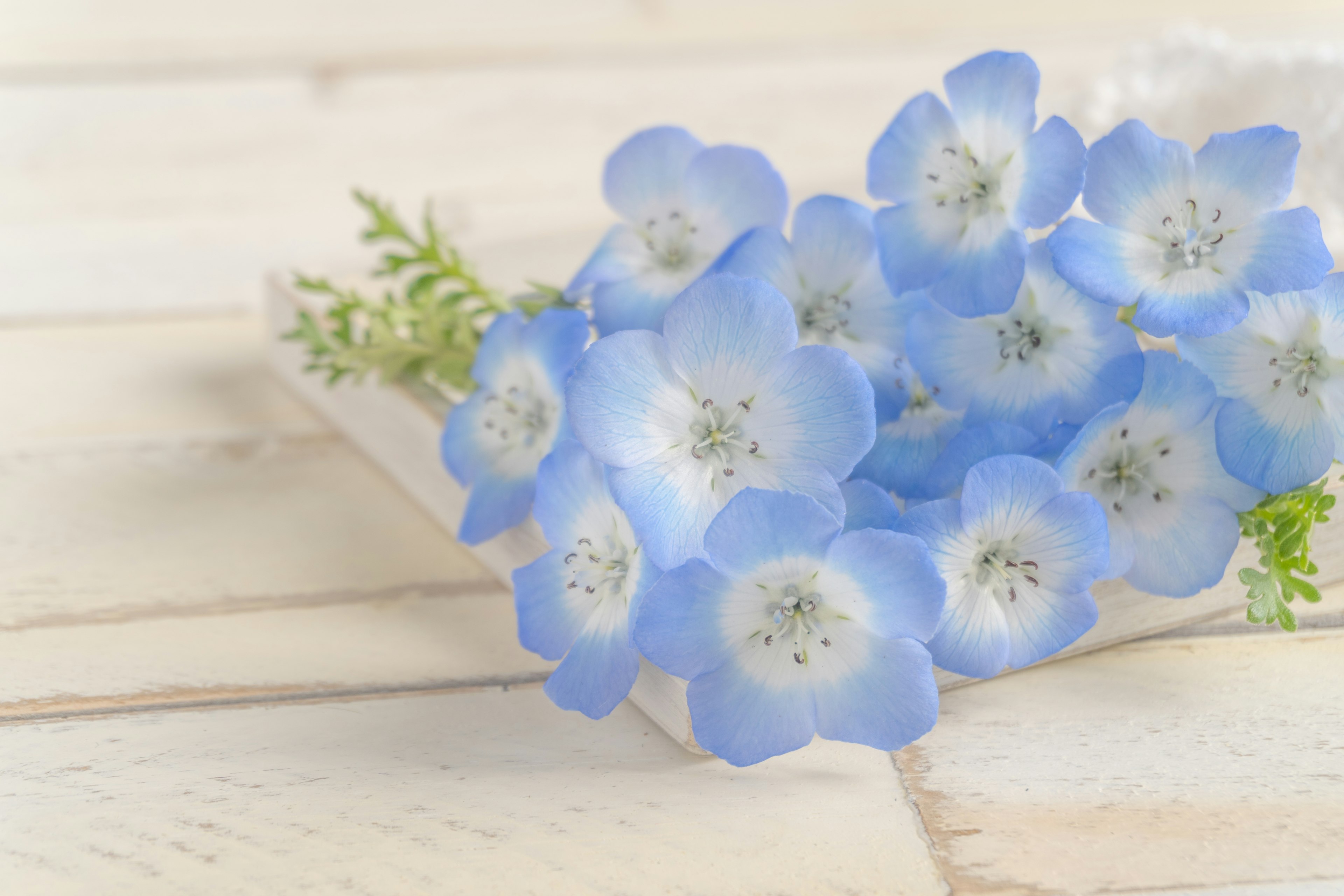 A bouquet of delicate blue flowers with green leaves on a wooden surface