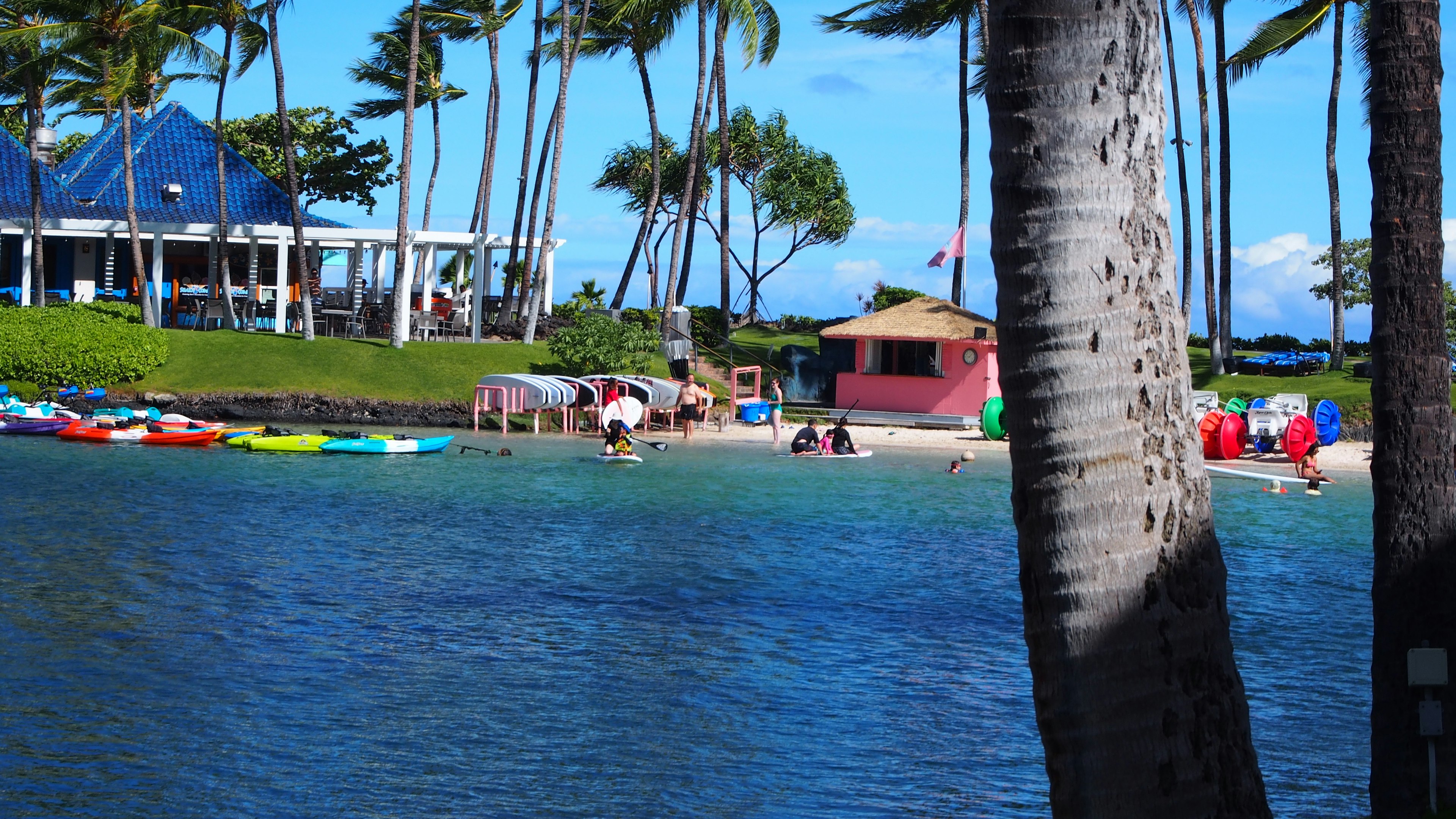 People enjoying kayaking on a beautiful beach under a blue sky