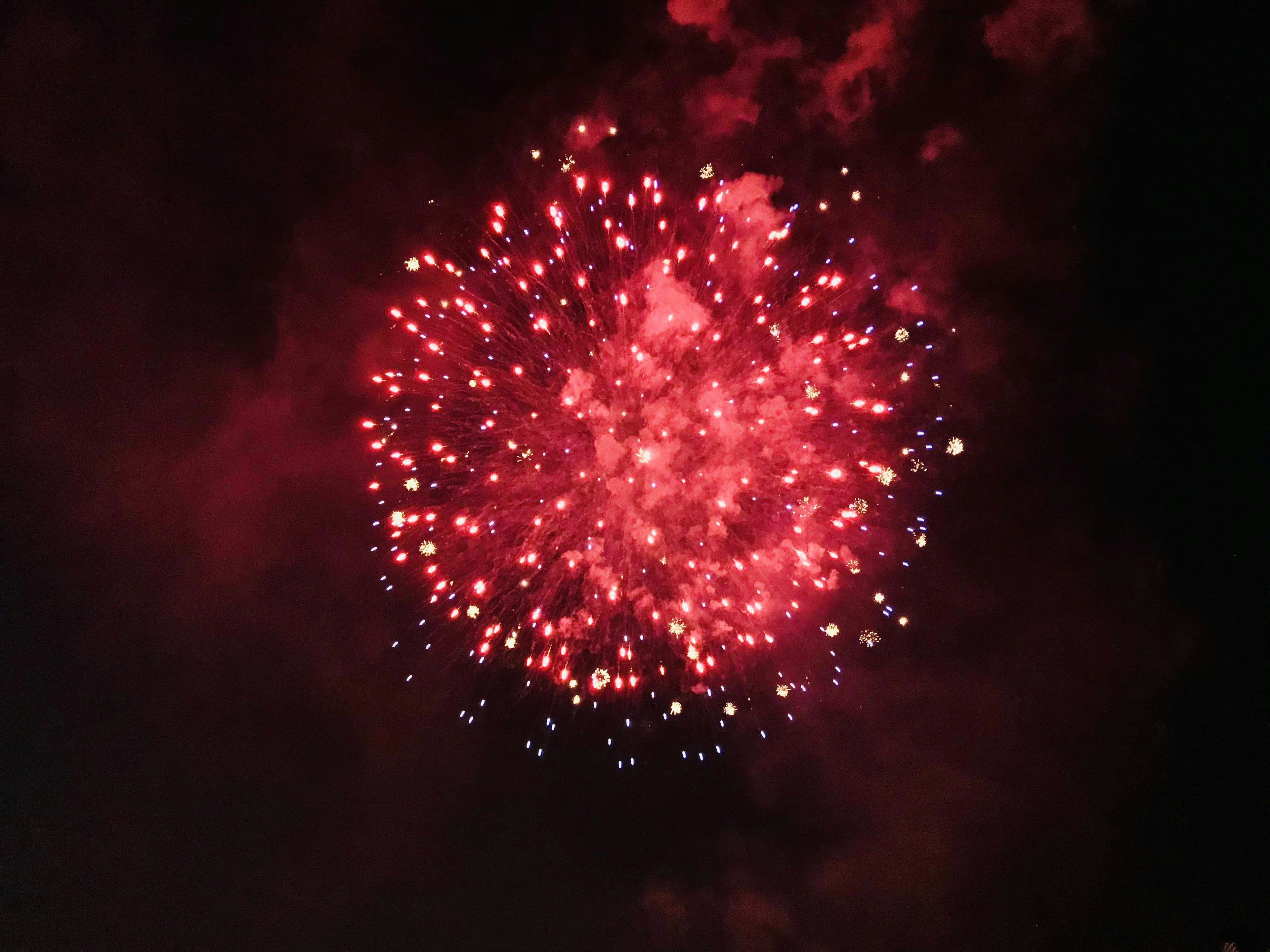 Fuochi d'artificio rossi che esplodono nel cielo notturno