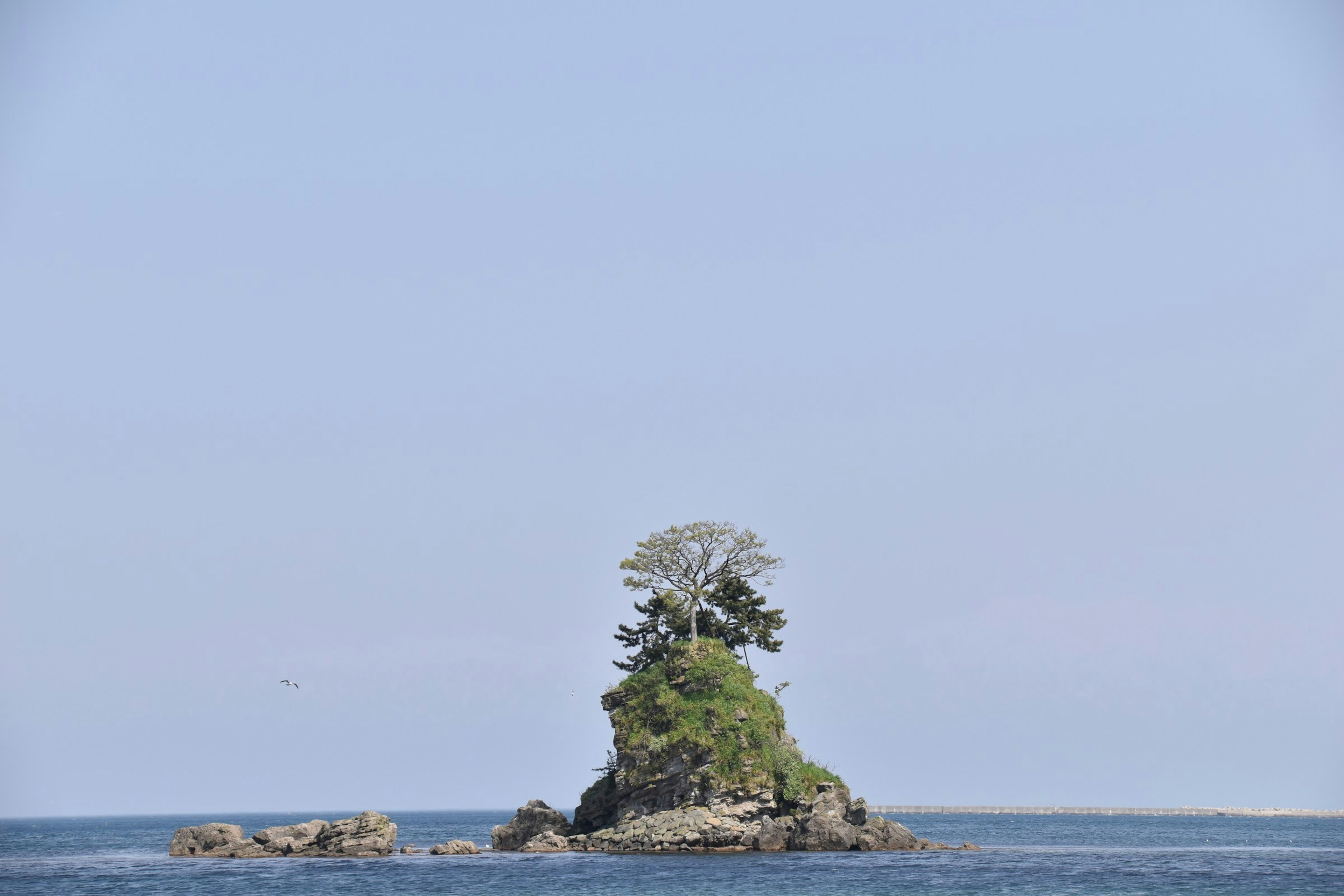 Sebuah pulau kecil dengan pohon hijau di laut biru