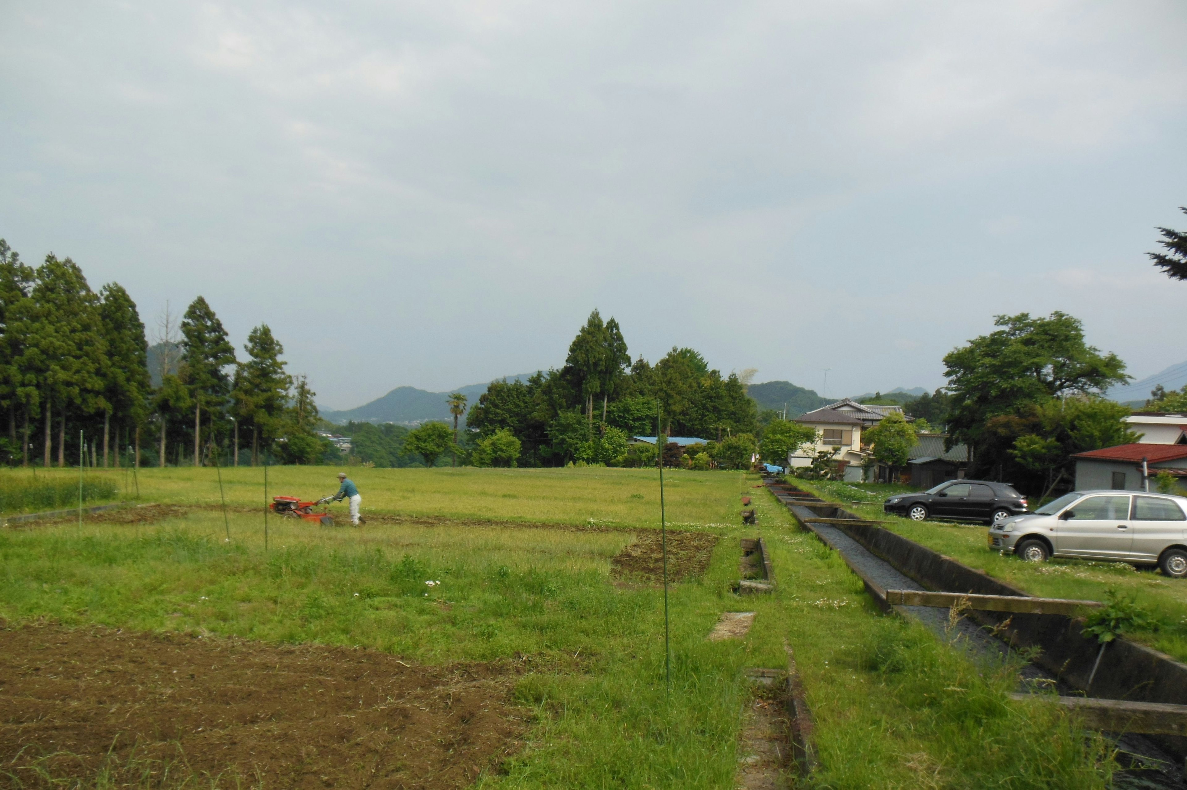 田んぼと周囲の自然風景の画像