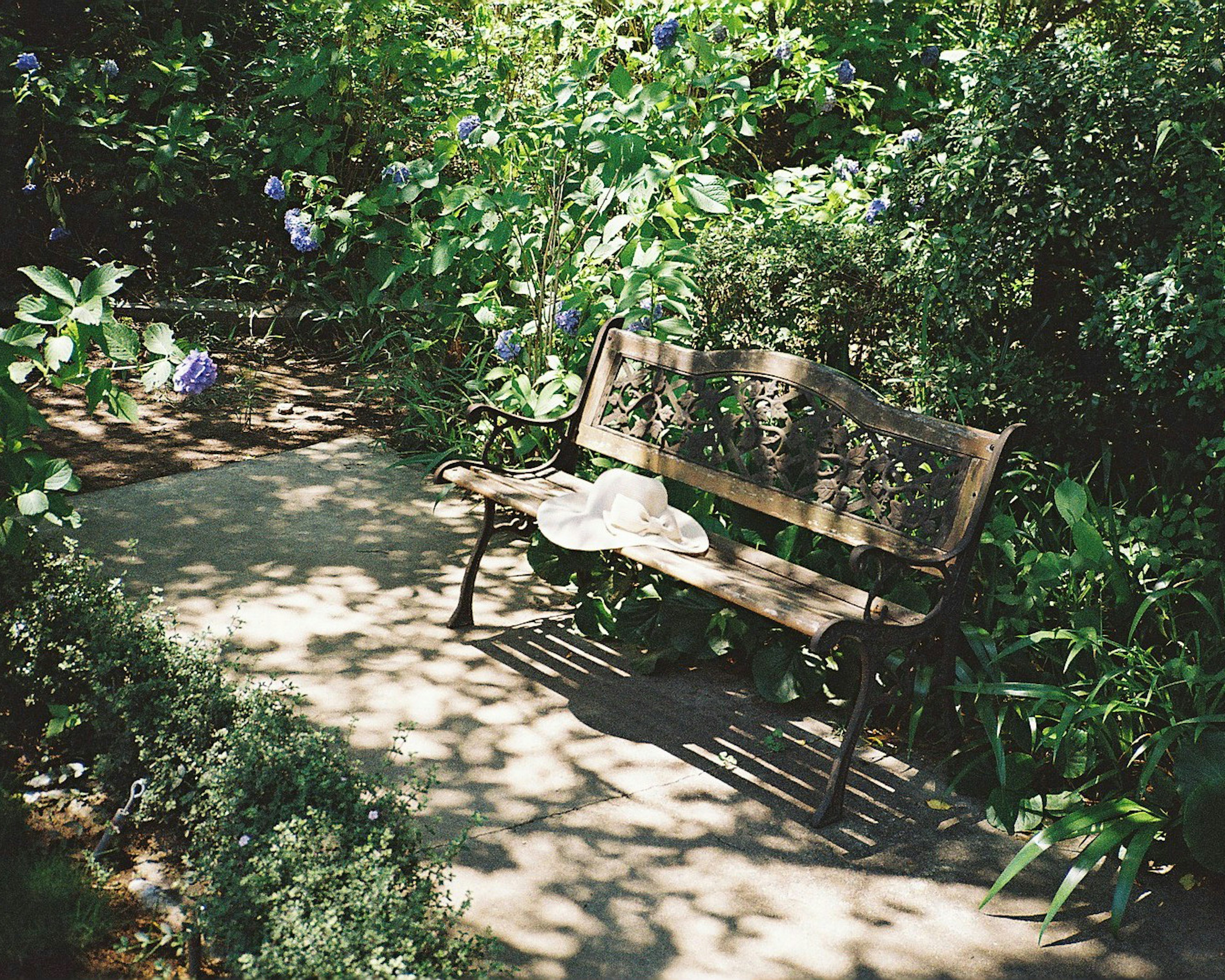 Eine ruhige Gartenszene mit einer Bank, umgeben von Grün und Blumen