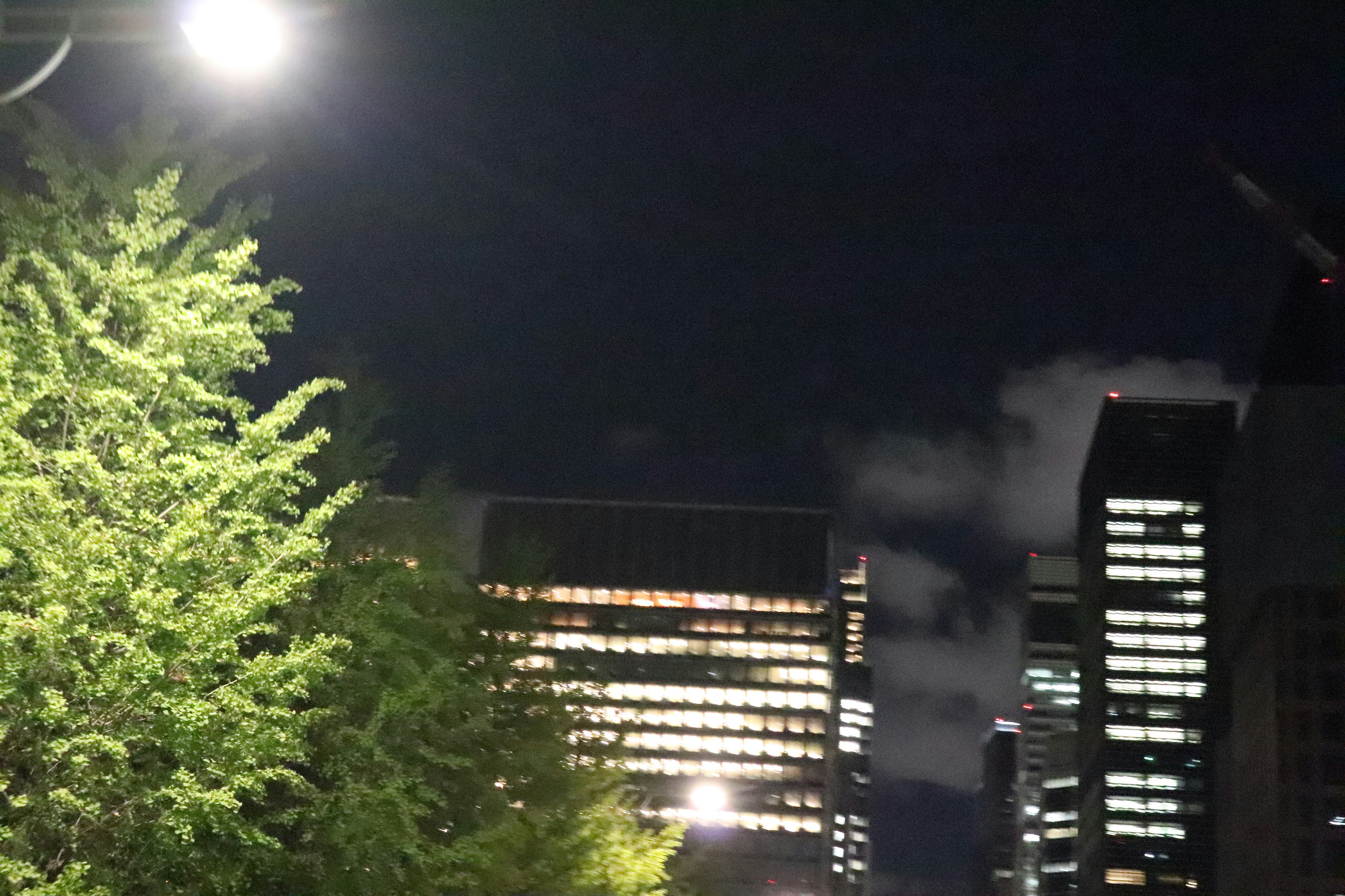 Pemandangan kota malam dengan pohon jalan yang diterangi dan gedung pencakar langit